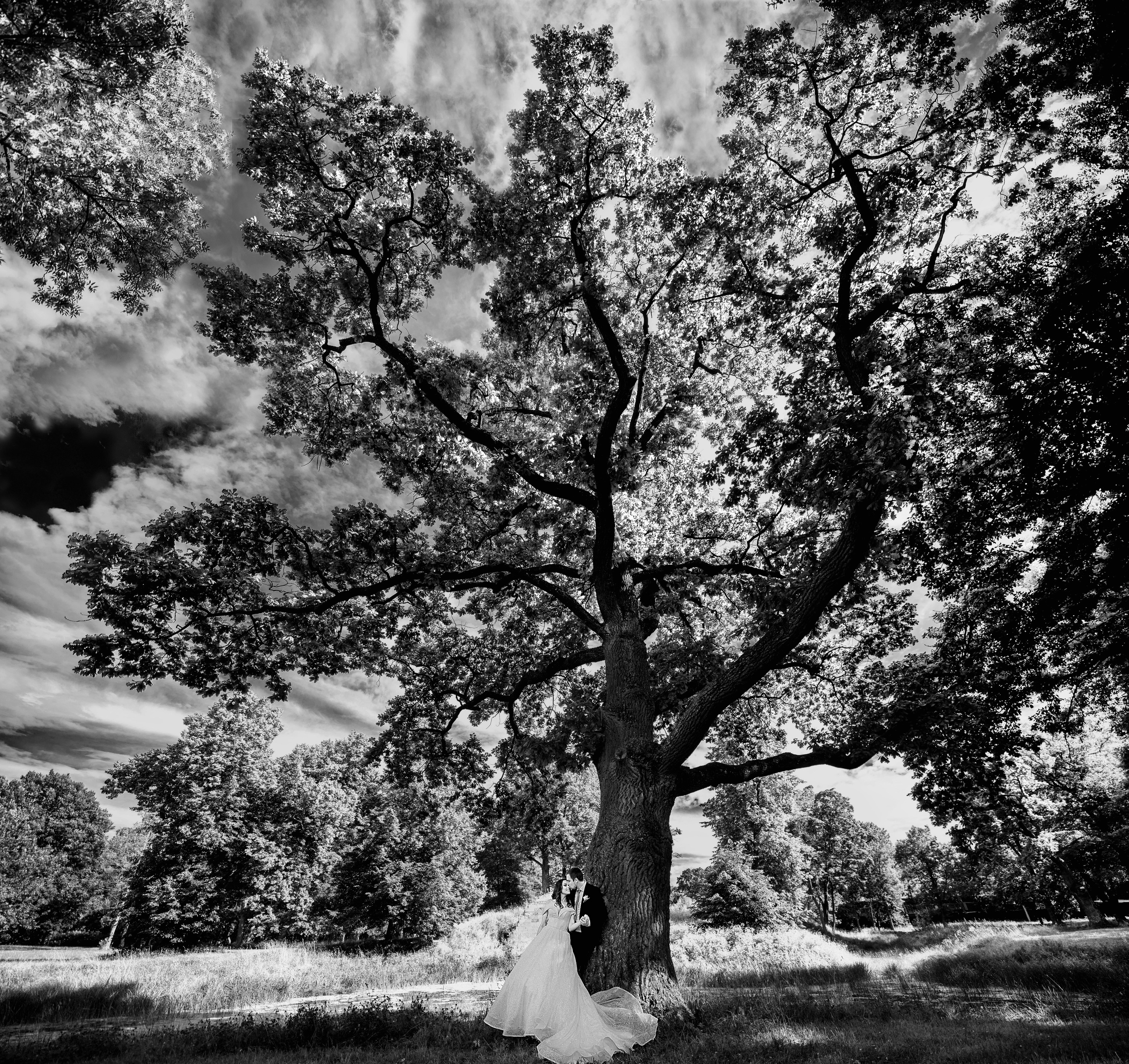 TOP-500 Самые красивые и лучшие свадебные фотографии от профессионального свадебного фотографа в Санкт-Петербурге Ширяева Дениса. Портретный, семейный и свадебный фотограф в Санкт-Петербурге и в Пушкине Ширяев Денис