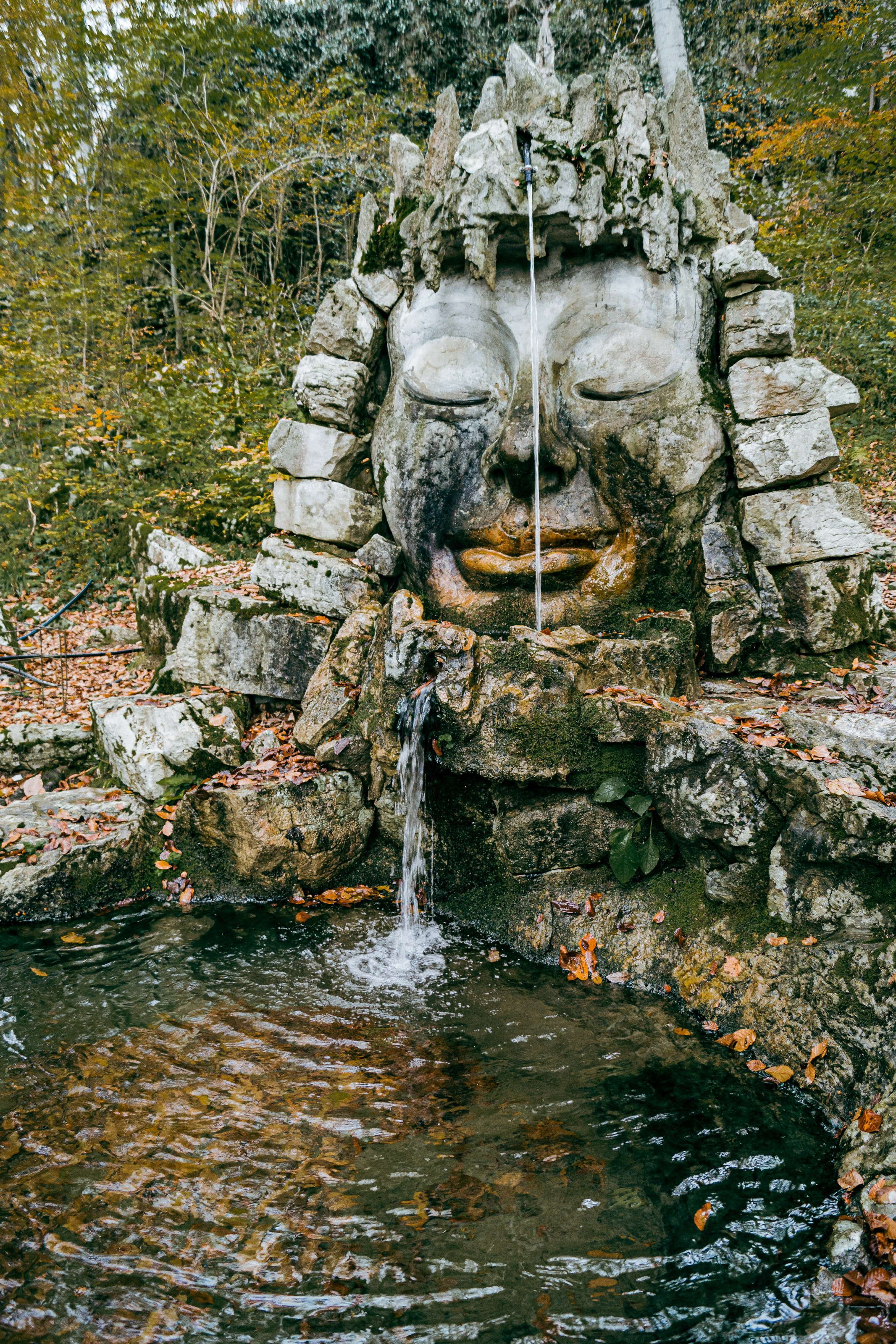 Фотографии Сочи, глазами гида-фотографа. Фотограф в Сочи Елена Лисотина. Фототуры в Сочи