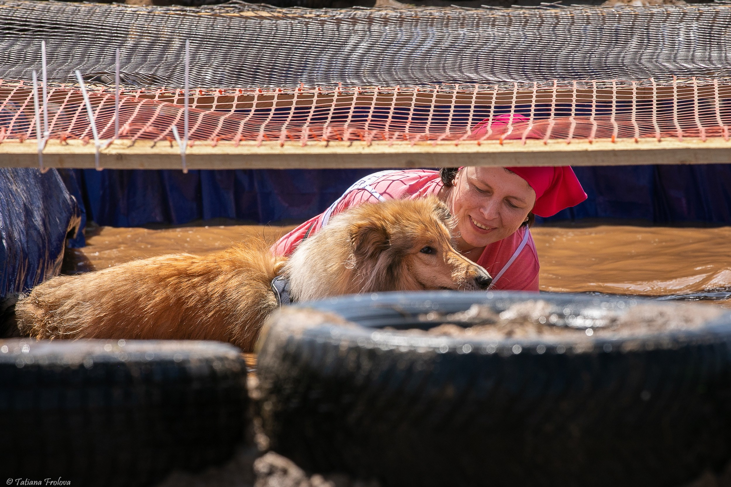 Фоторепортаж с забега с собаками. Фотограф-анималист в Москве и Московской области Татьяна Фролова