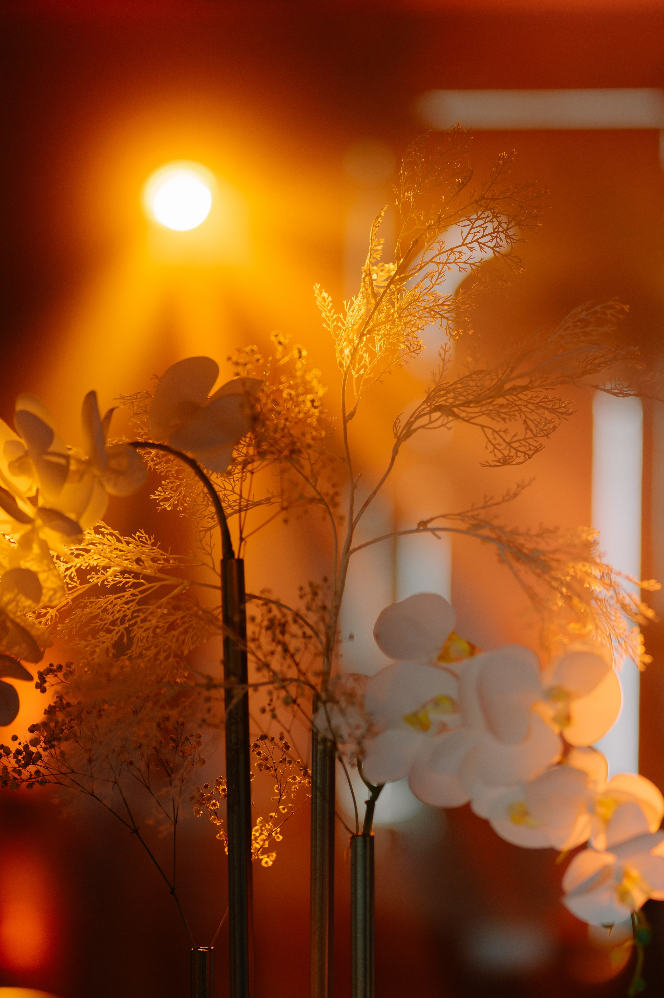 Иван и Вероника. Свадебный фотограф Минск, Пинск, Брест, Гродно Чернигов Андрей