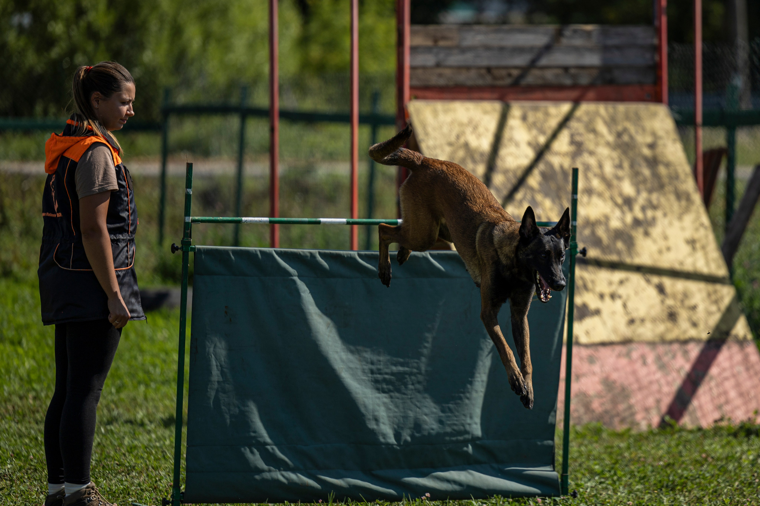 Соревнования по Мондьорингу г. Вологда 10-11.08.2024. Фотограф-анималист Анна Маринич
