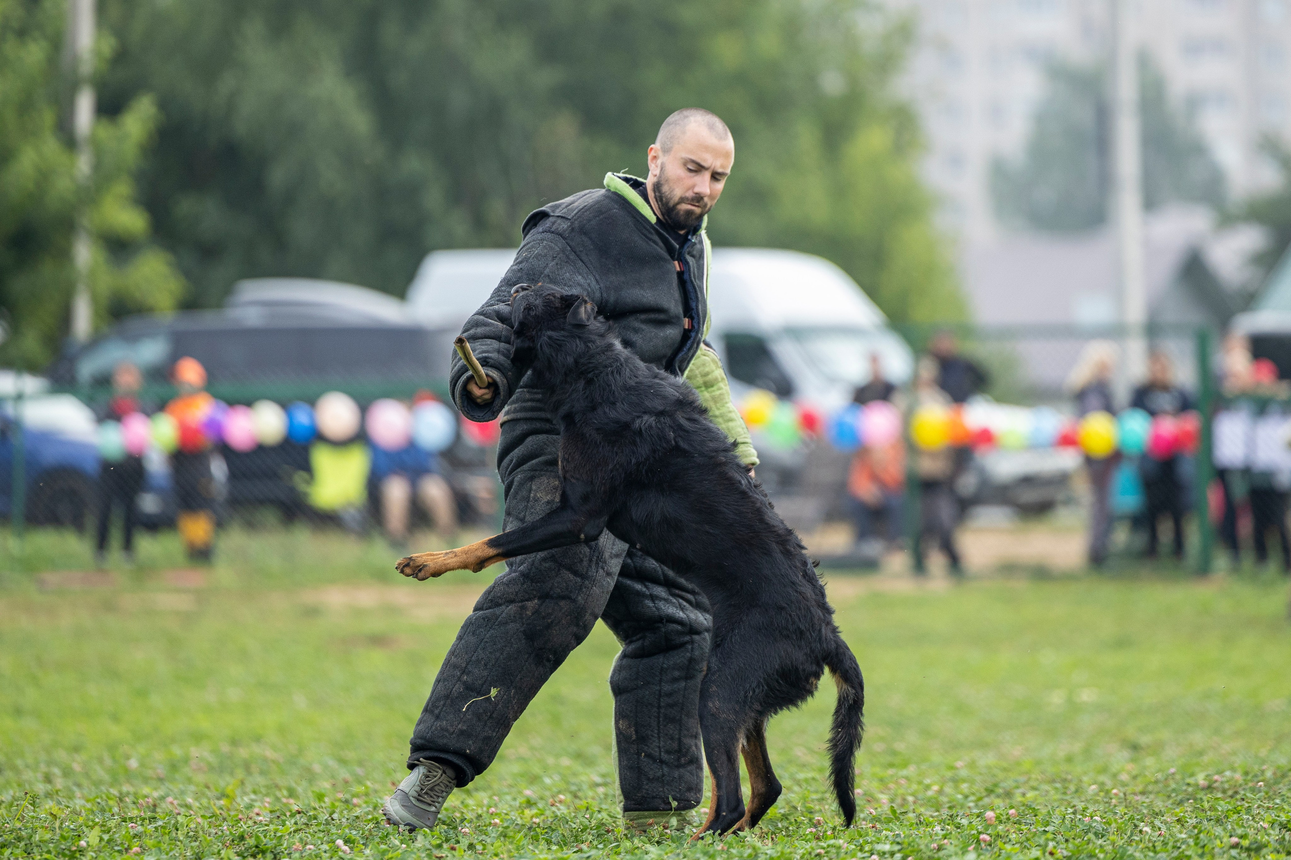 Соревнования по Мондьорингу г. Вологда 10-11.08.2024. Фотограф-анималист Анна Маринич