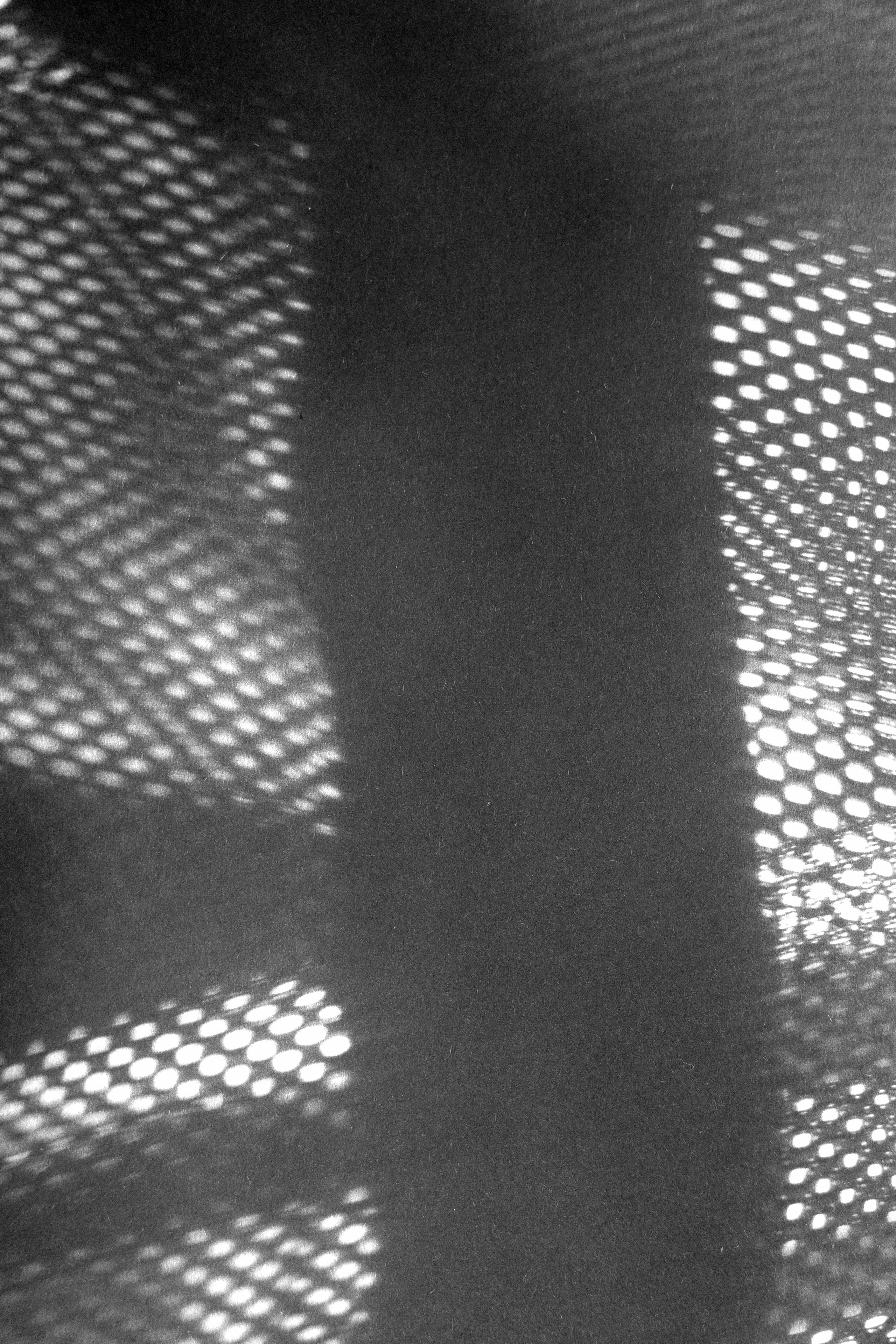 Сетка 🏁. Миша Печёнкин | фотография