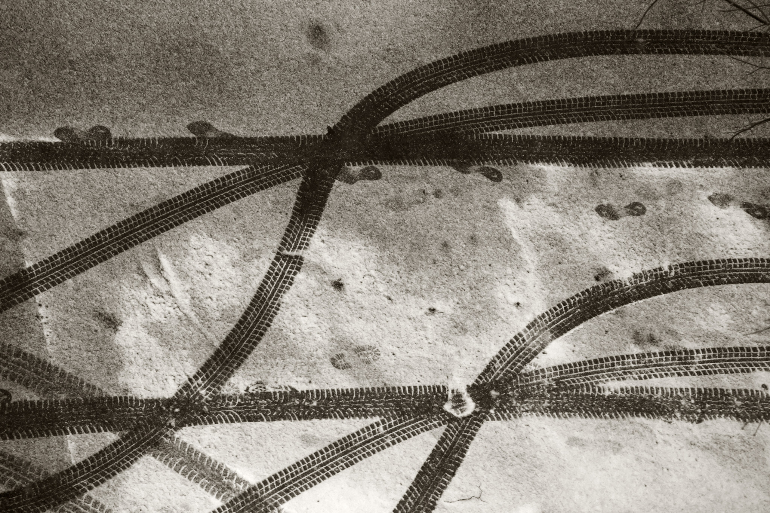 Черно-белое. Миша Печёнкин | фотография