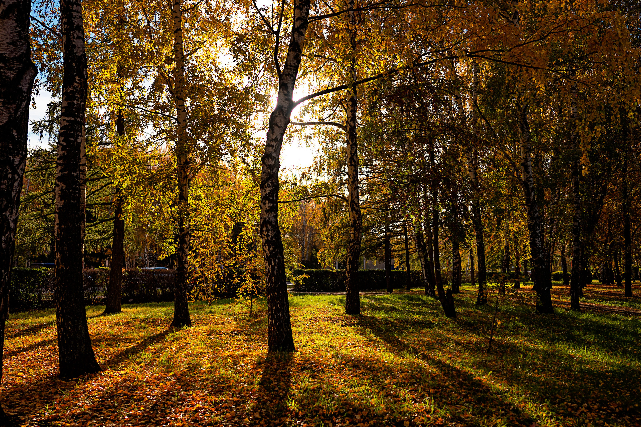 А это для Души. Фотограф в Стерлитамаке