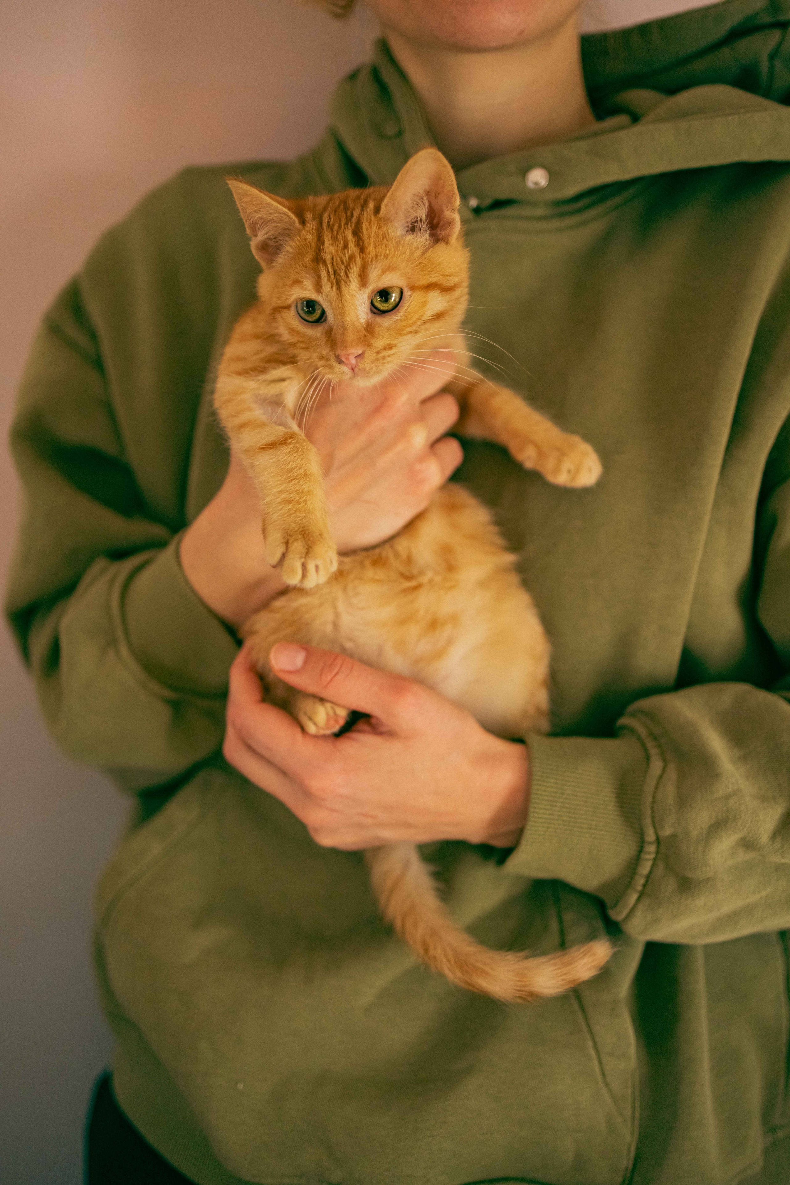 Кускус. Фотограф-анималист в Москве Лера Черноног