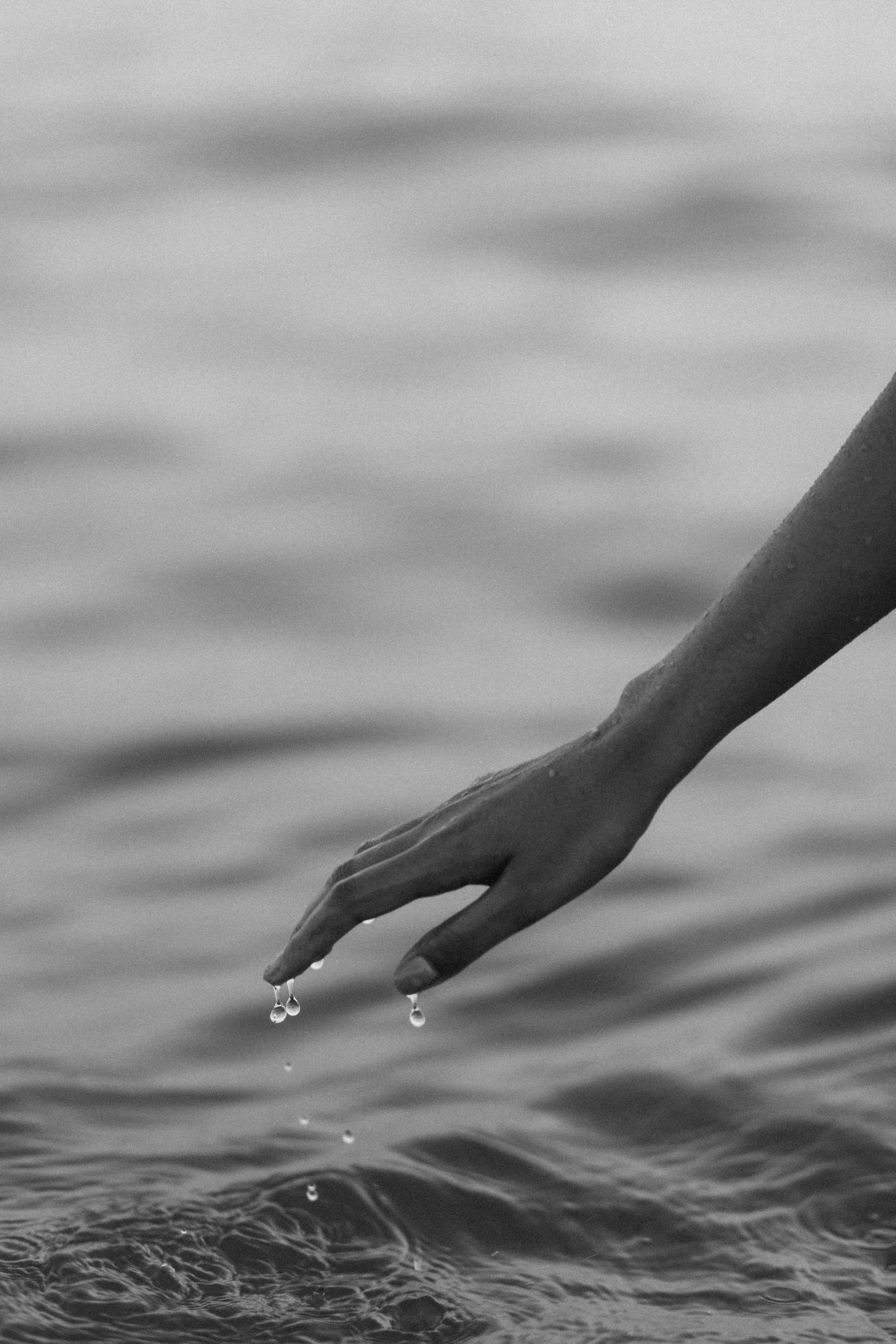 Сауле. Главная