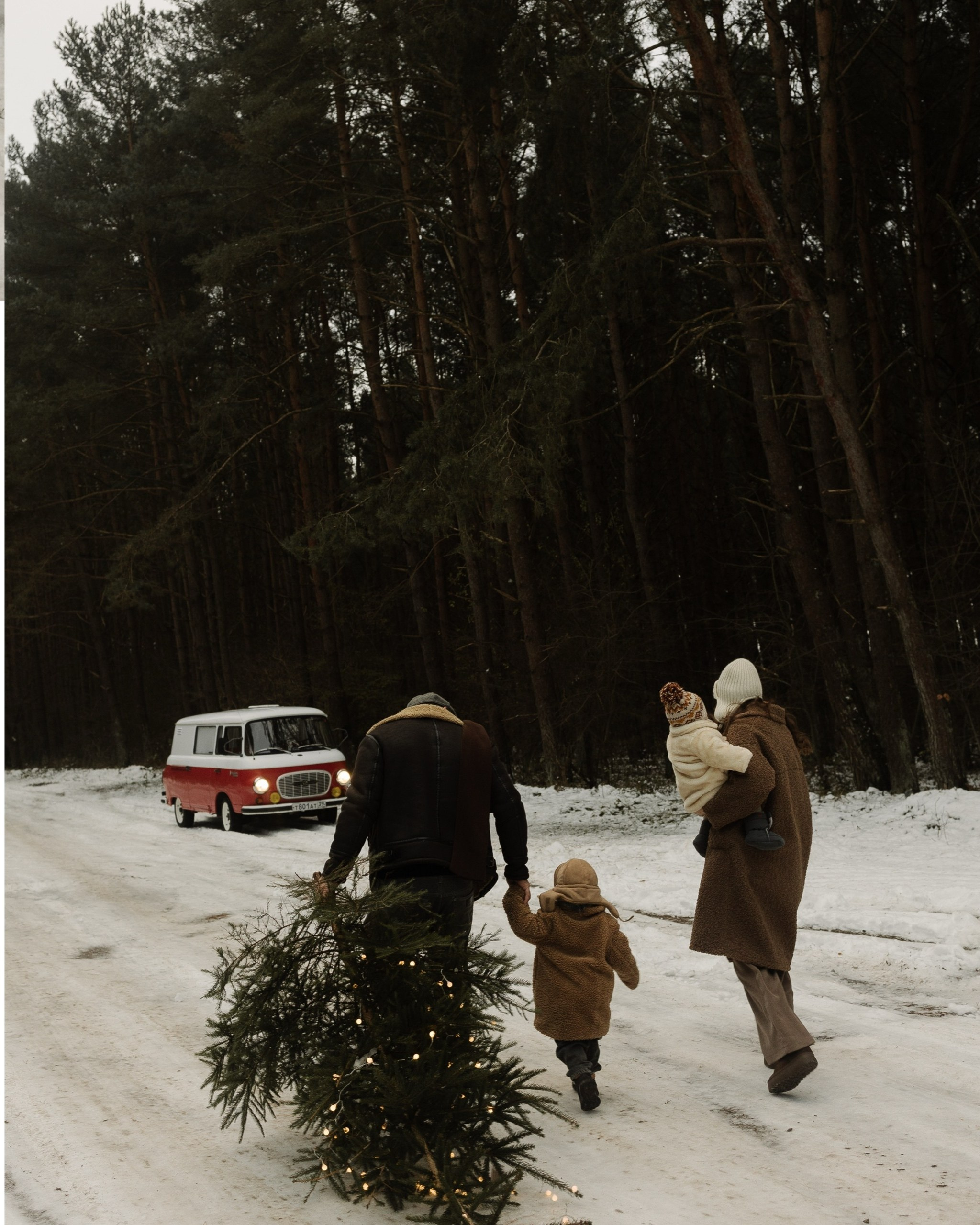 Семейные фотосесии 2025