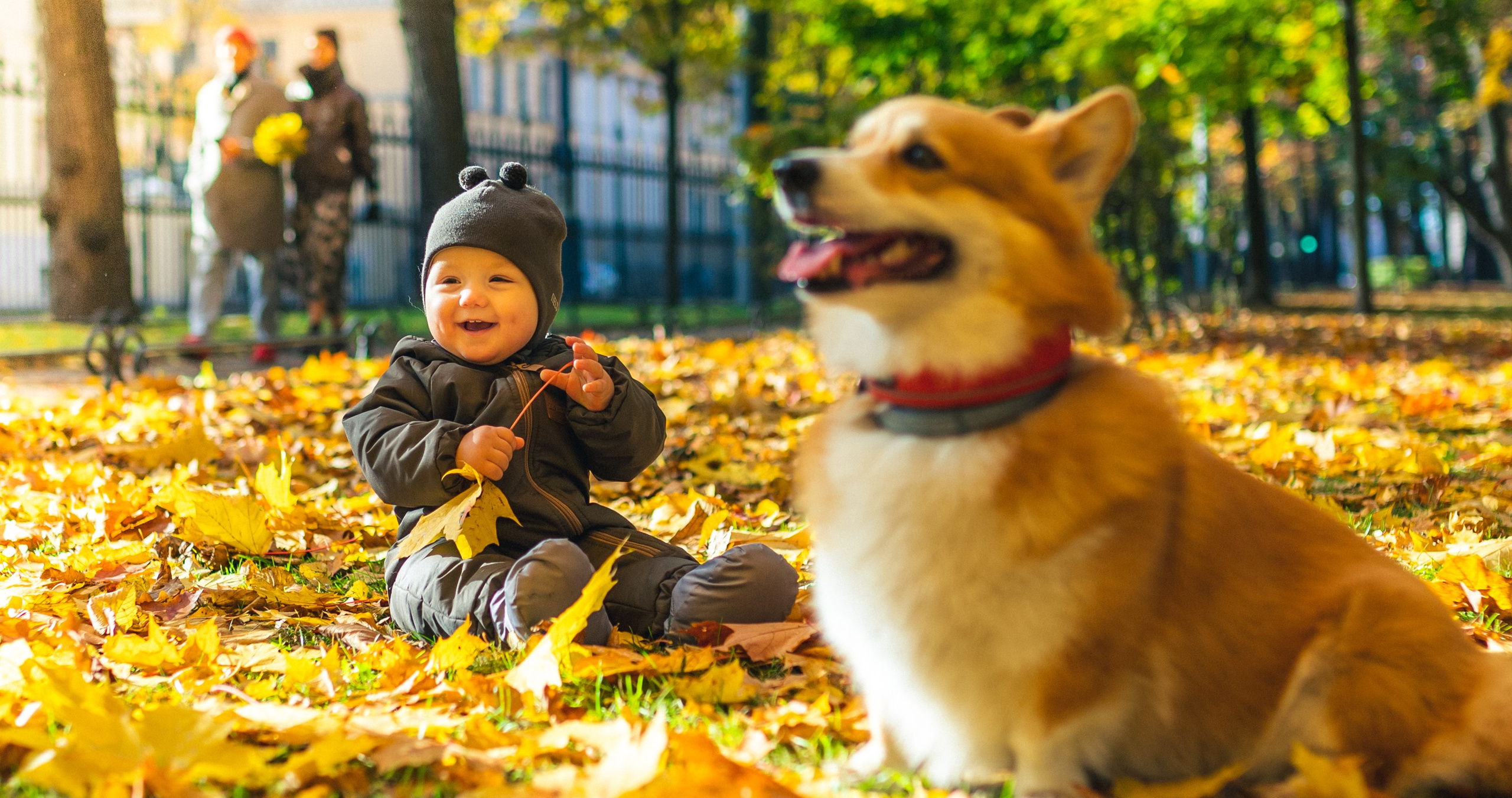 Андрей, Саша и все-все-все