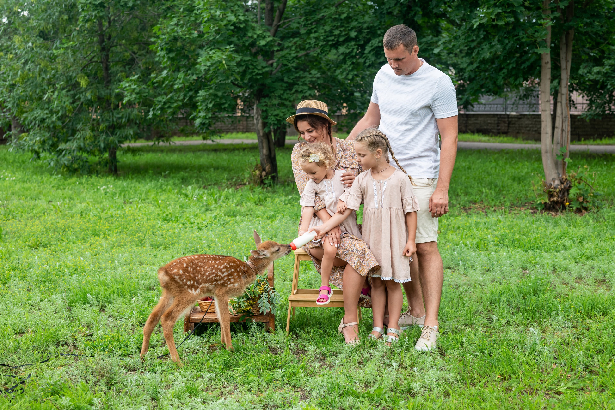 Фотопроект *Оленёнок Бэмби*. Фотограф в городе Салават