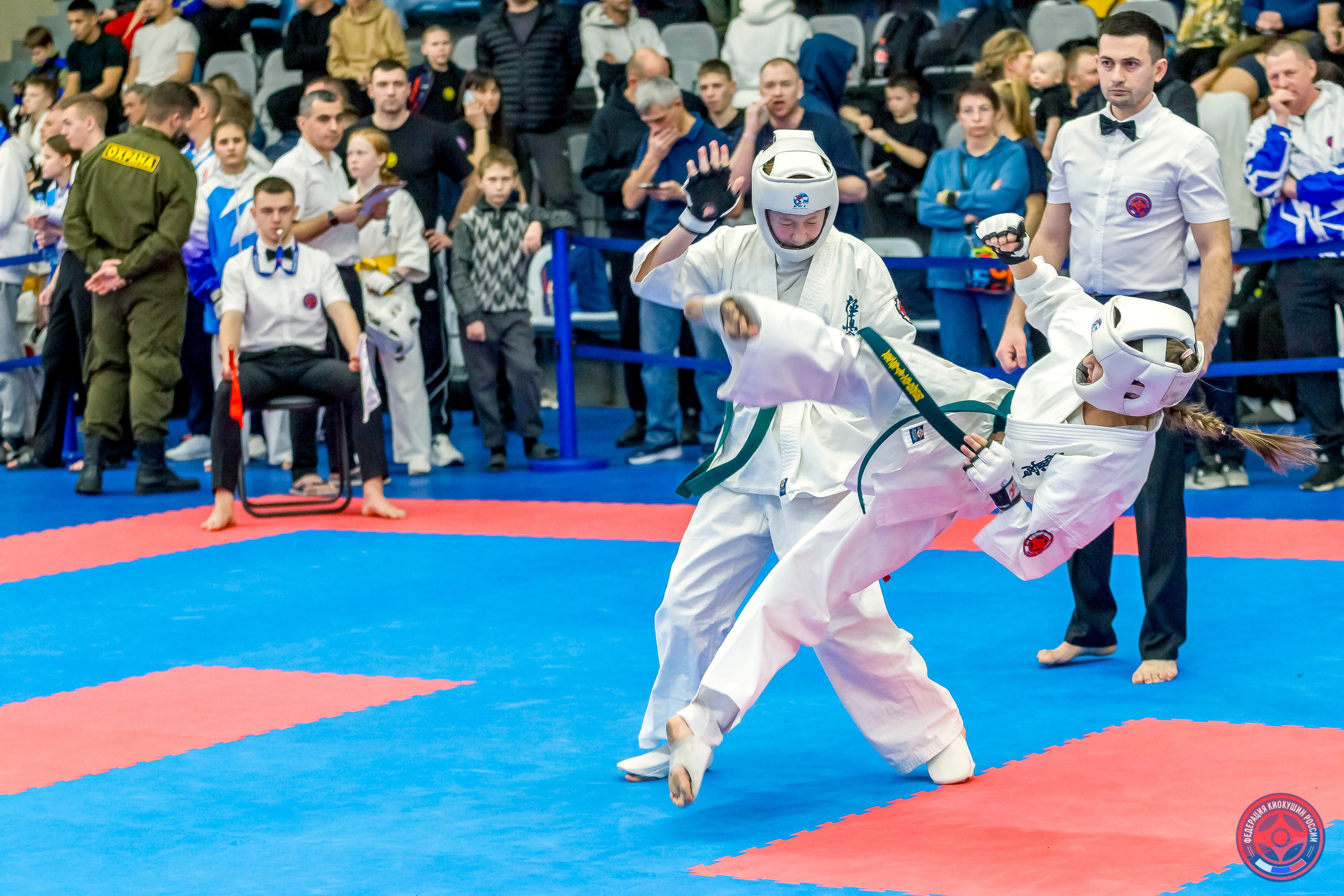 Международный турнир по киокушин «Открытый кубок Seiken». Репортажная съемка в Москве и области. Анималистика