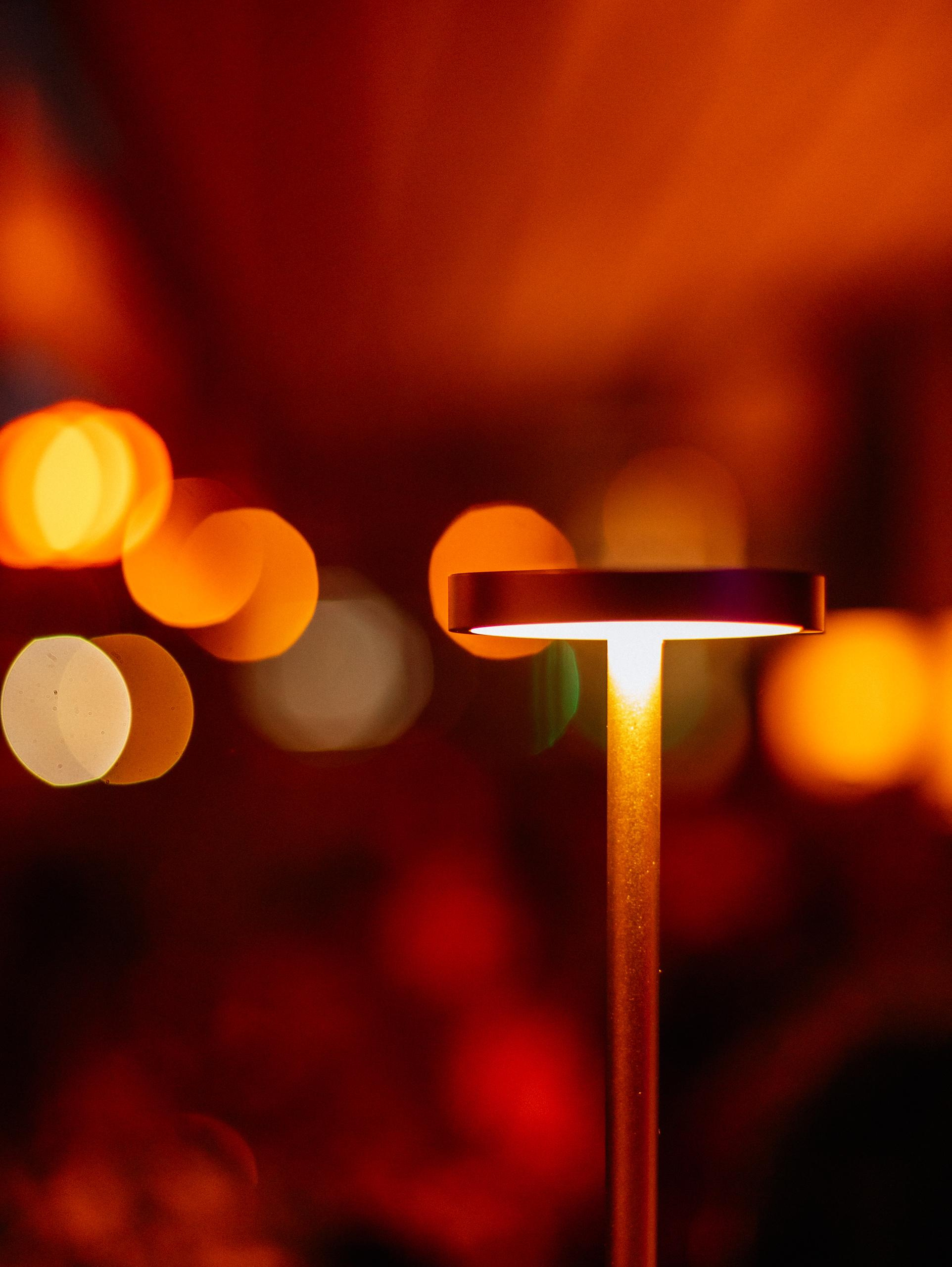 ЛЮБОВЬ И ЛИСИЧКИ [ПРЕЗЕНТАЦИЯ ЛЕТНЕГО МЕНЮ]. СВОИ. ФОТООТЧЕТЫ-СОБЫТИЯ-МЕСТА