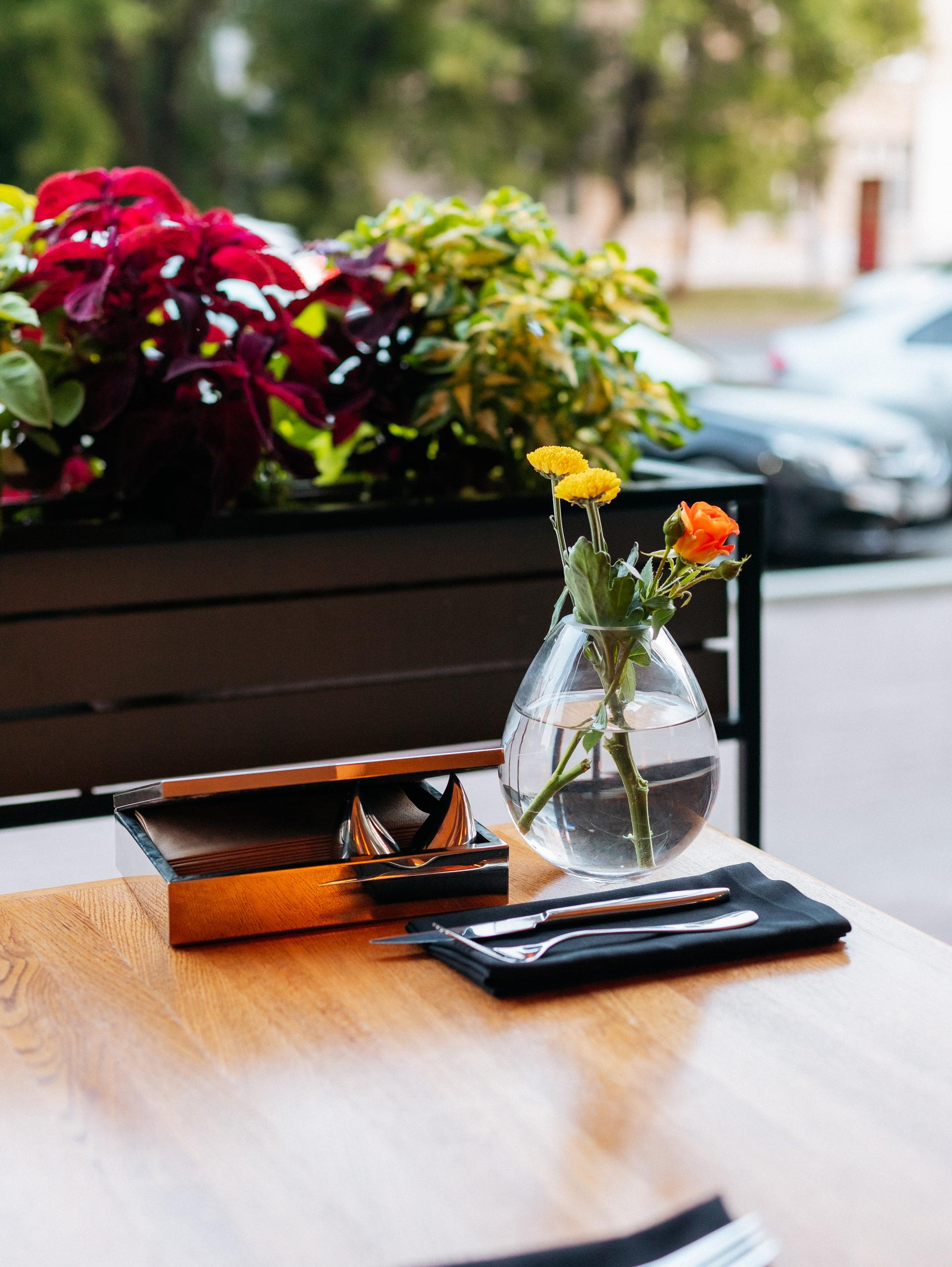 ЛЮБОВЬ И ЛИСИЧКИ [ПРЕЗЕНТАЦИЯ ЛЕТНЕГО МЕНЮ]. СВОИ. ФОТООТЧЕТЫ-СОБЫТИЯ-МЕСТА