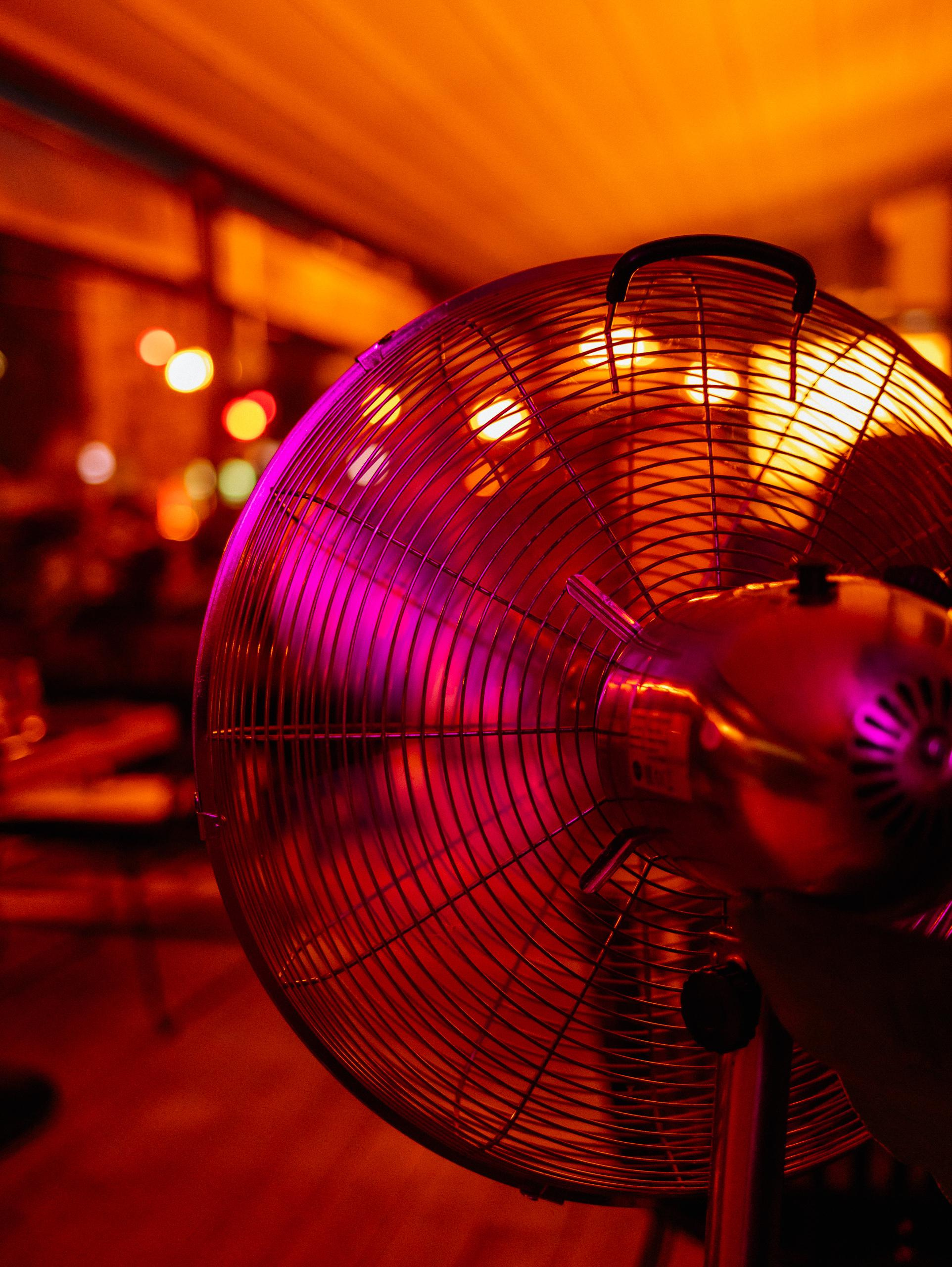 ЛЮБОВЬ И ЛИСИЧКИ [ПРЕЗЕНТАЦИЯ ЛЕТНЕГО МЕНЮ]. СВОИ. ФОТООТЧЕТЫ-СОБЫТИЯ-МЕСТА