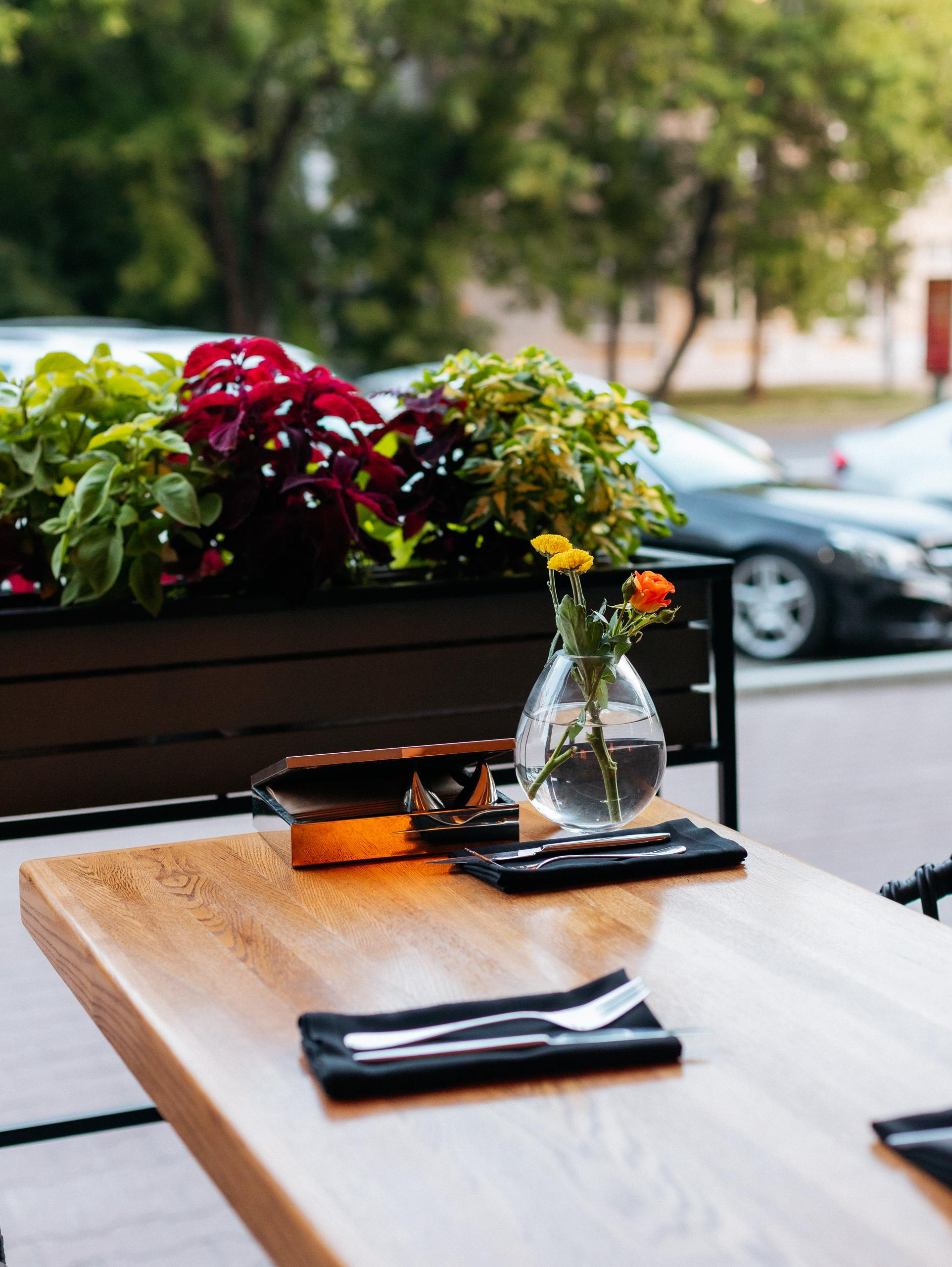 ЛЮБОВЬ И ЛИСИЧКИ [ПРЕЗЕНТАЦИЯ ЛЕТНЕГО МЕНЮ]. СВОИ. ФОТООТЧЕТЫ-СОБЫТИЯ-МЕСТА