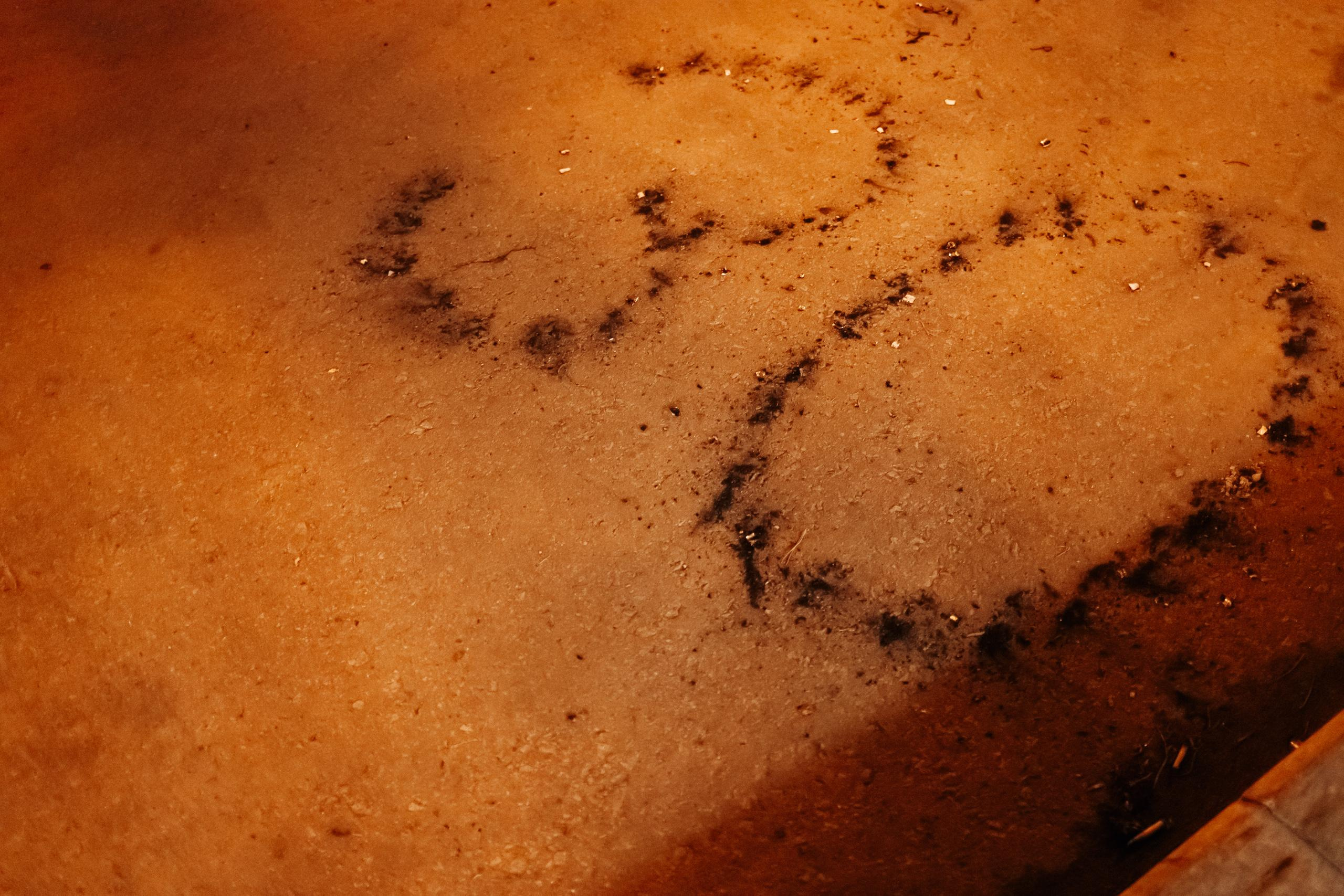 CHOCOLATE [BD BULOCHKA]. СВОИ. ФОТООТЧЕТЫ-СОБЫТИЯ-МЕСТА