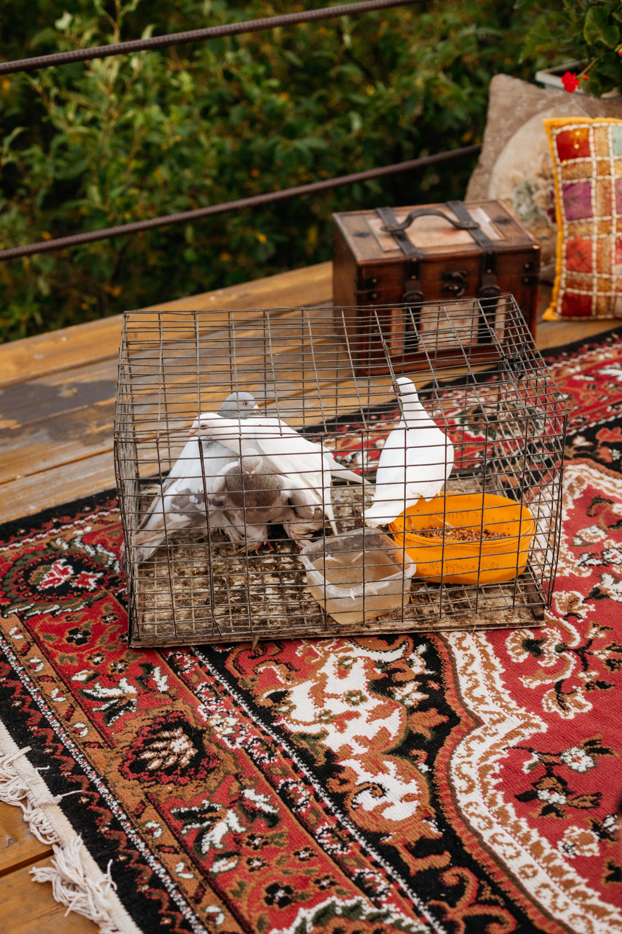 BIRTHDAY VERA [SECRET TRAVELS]. СВОИ. ФОТООТЧЕТЫ-СОБЫТИЯ-МЕСТА