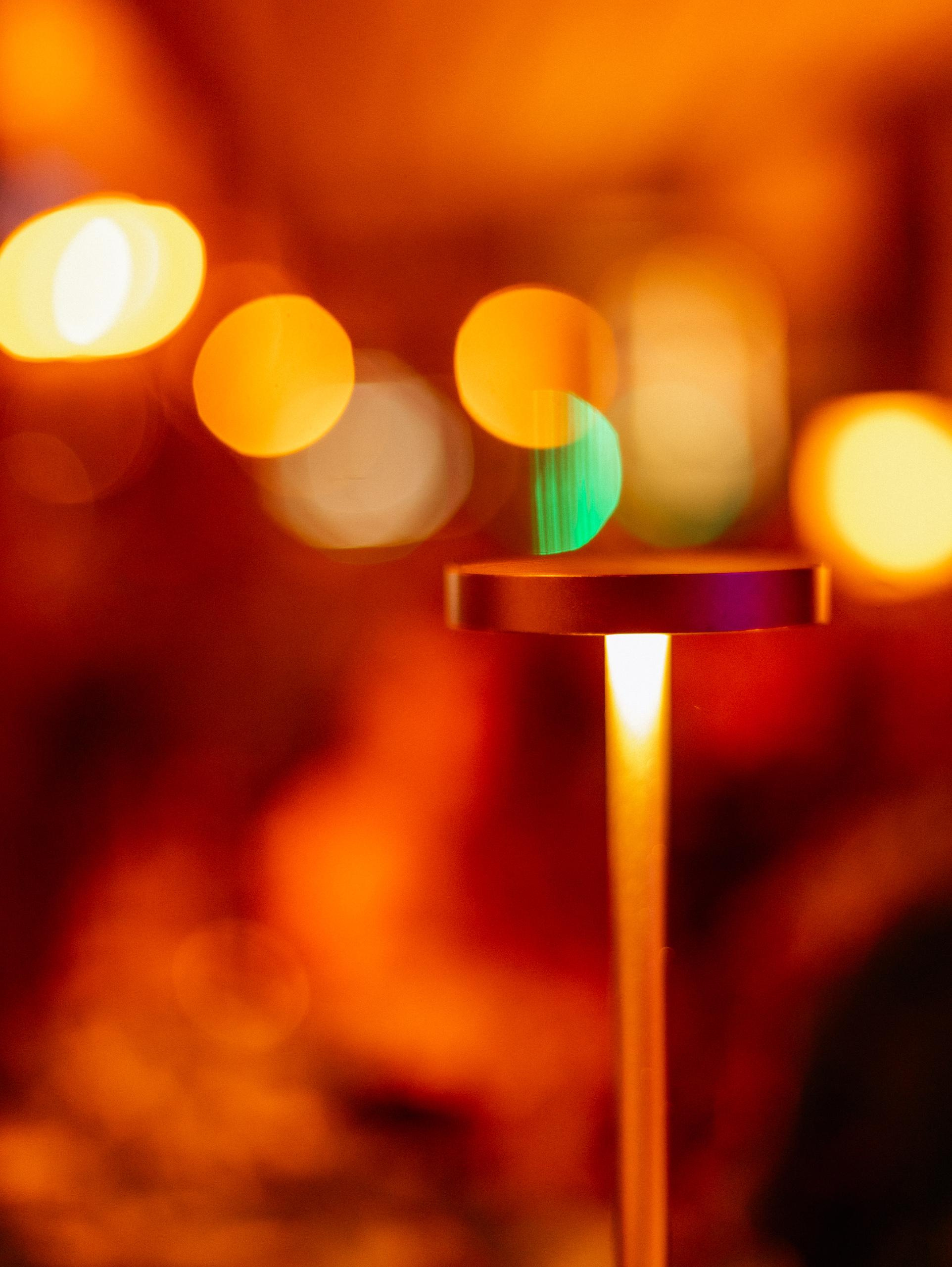 ЛЮБОВЬ И ЛИСИЧКИ [ПРЕЗЕНТАЦИЯ ЛЕТНЕГО МЕНЮ]. СВОИ. ФОТООТЧЕТЫ-СОБЫТИЯ-МЕСТА