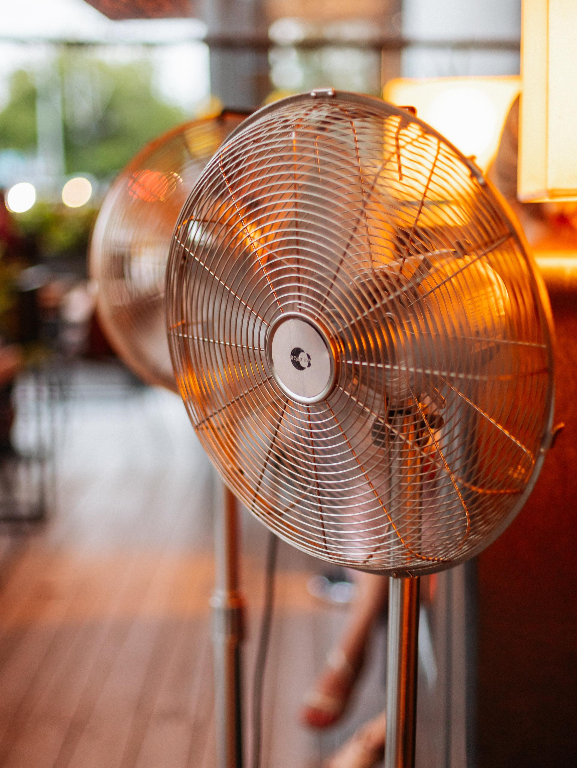 ЛЮБОВЬ И ЛИСИЧКИ [ПРЕЗЕНТАЦИЯ ЛЕТНЕГО МЕНЮ]. СВОИ. ФОТООТЧЕТЫ-СОБЫТИЯ-МЕСТА