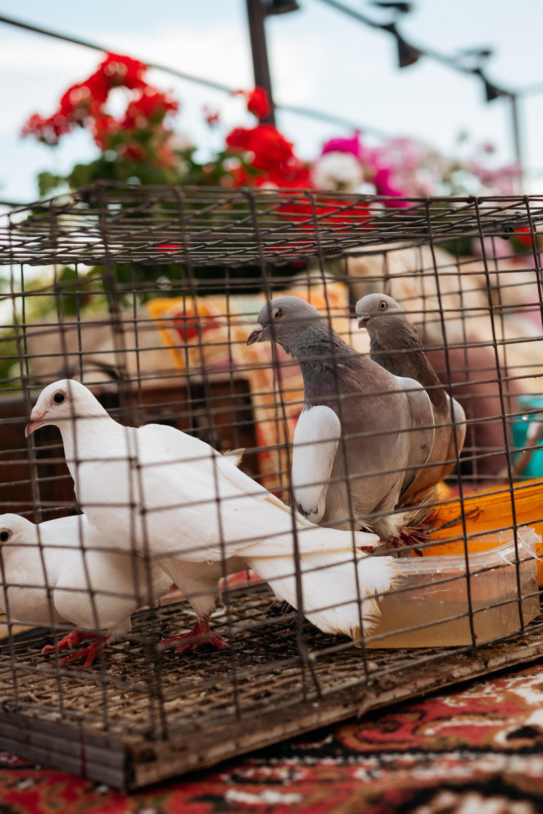 BIRTHDAY VERA [SECRET TRAVELS]. СВОИ. ФОТООТЧЕТЫ-СОБЫТИЯ-МЕСТА