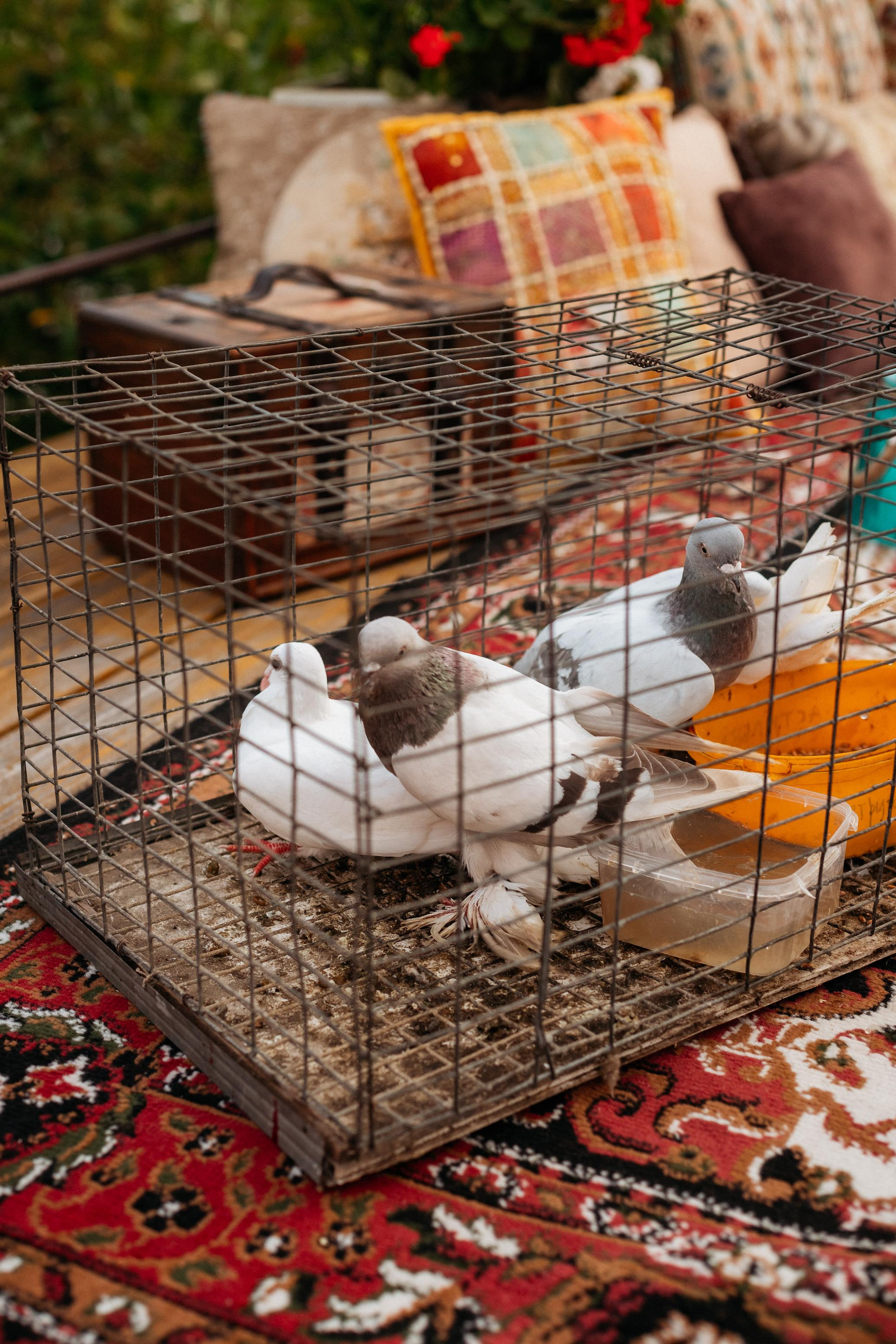 BIRTHDAY VERA [SECRET TRAVELS]. СВОИ. ФОТООТЧЕТЫ-СОБЫТИЯ-МЕСТА