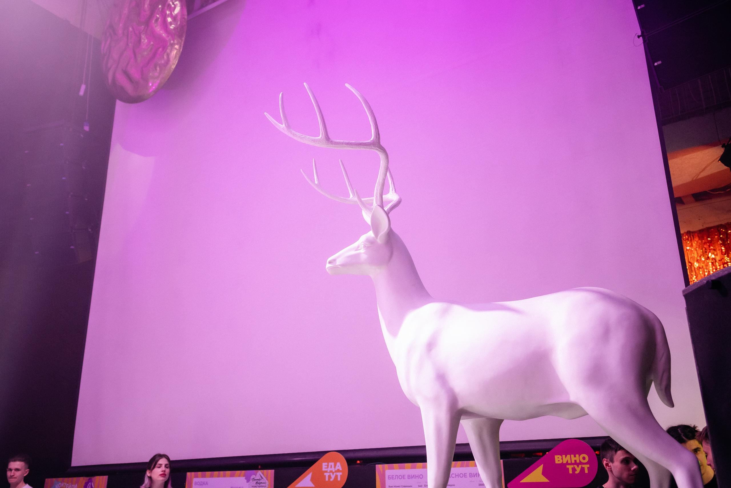 ЭХО [7 ЛЕТ ВМЕСТЕ]. СВОИ. ФОТООТЧЕТЫ-СОБЫТИЯ-МЕСТА