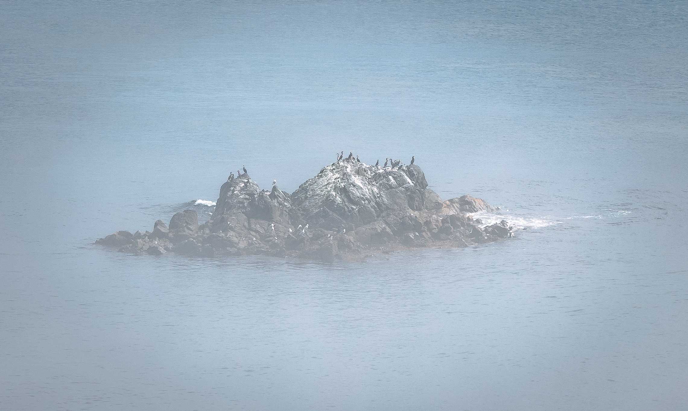 О.Сахалин. Фотограф. г. Южно-Сахалинск. Олег Толстов