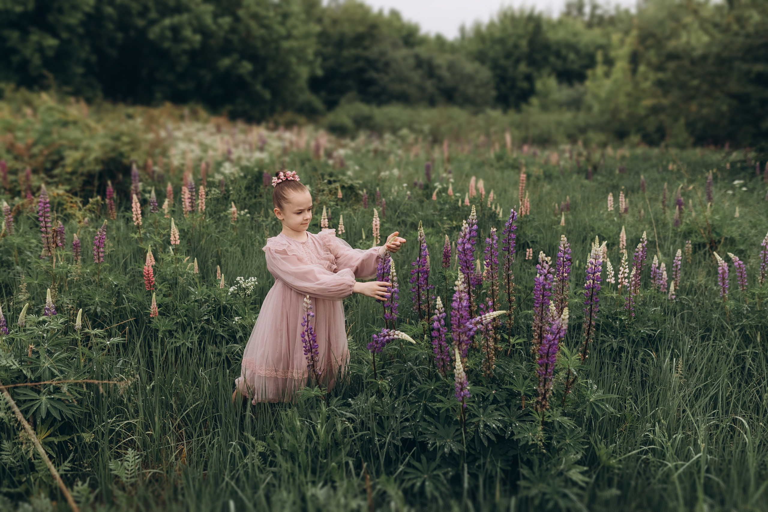В люпинах. Фотограф Людмила Оюн