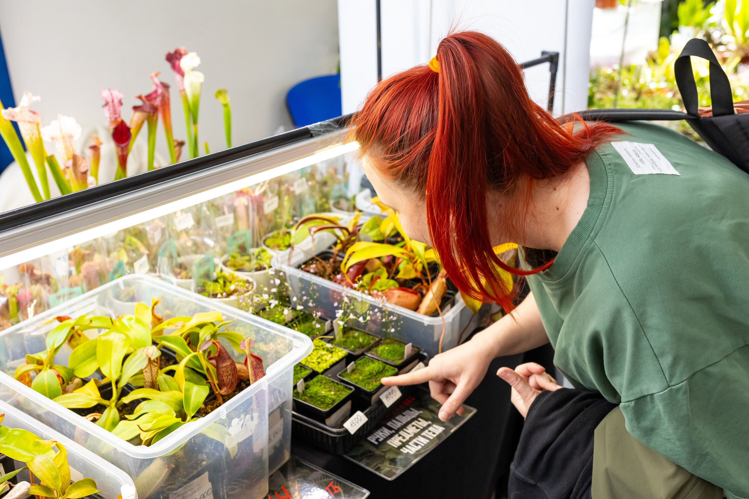 Монстериум апрель 2025. Александра Куликова фотограф, Москва