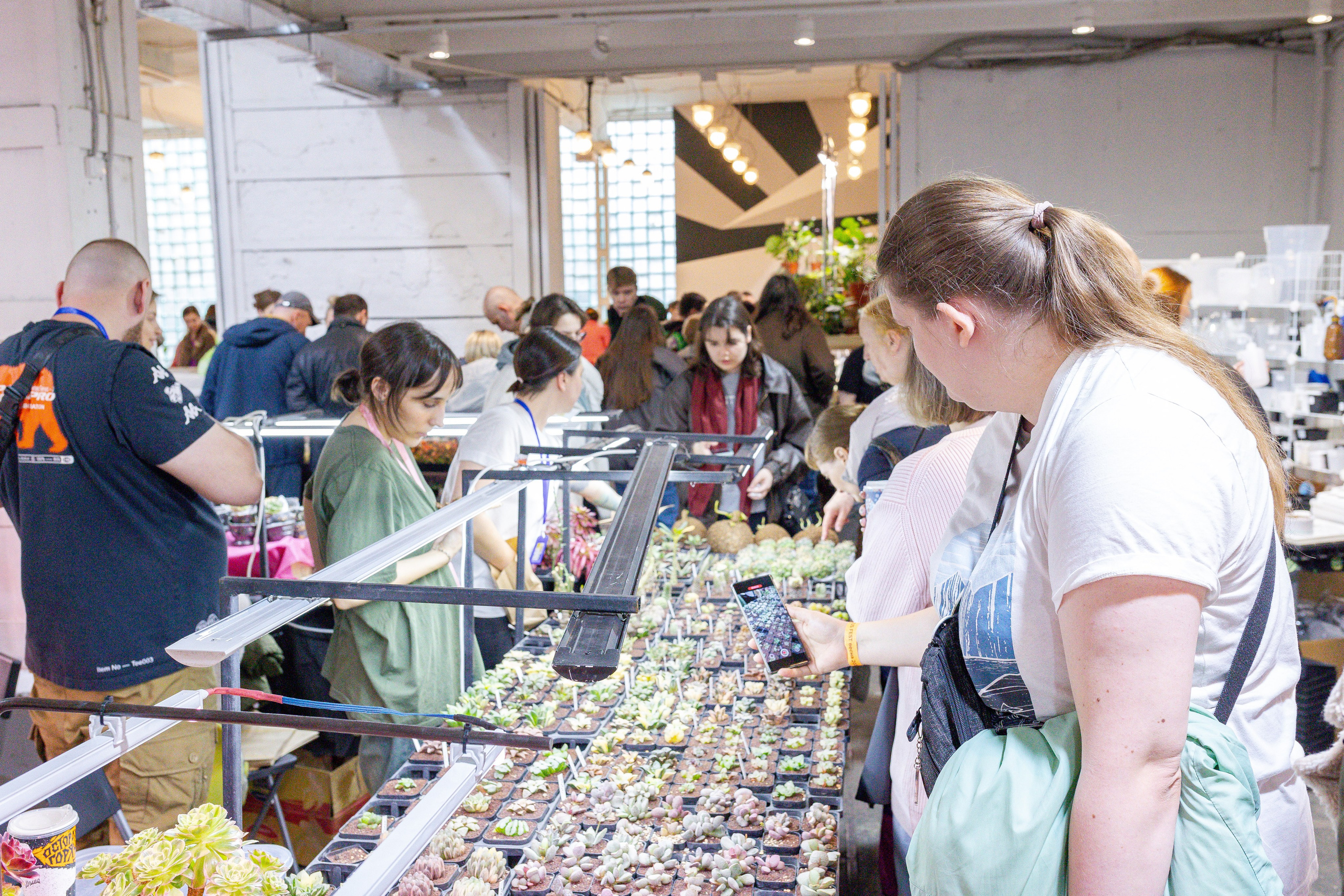 Кактус Фест. Александра Куликова фотограф, Москва