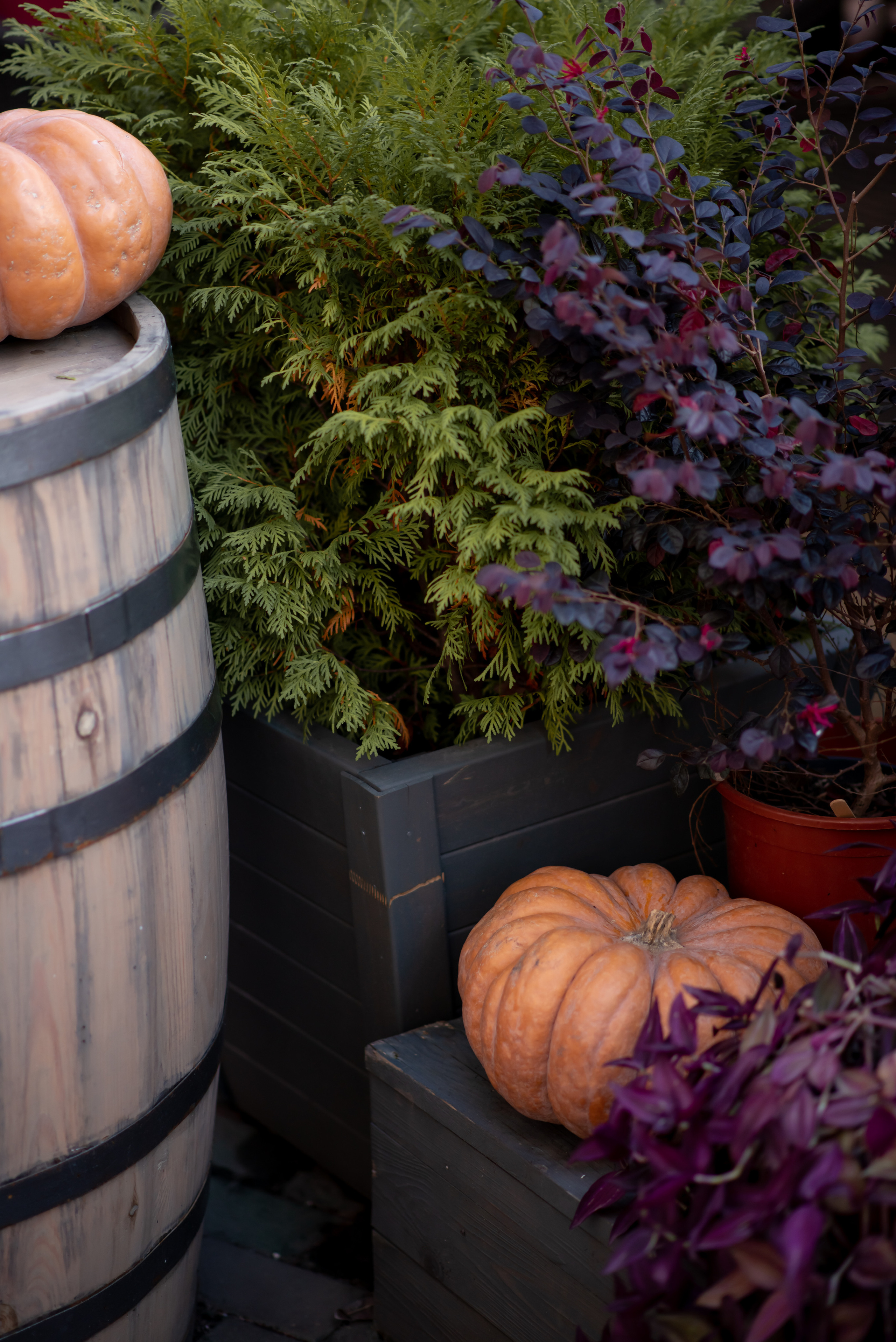 Прогулка в Поляне. Фотограф Ирина Ликсунова