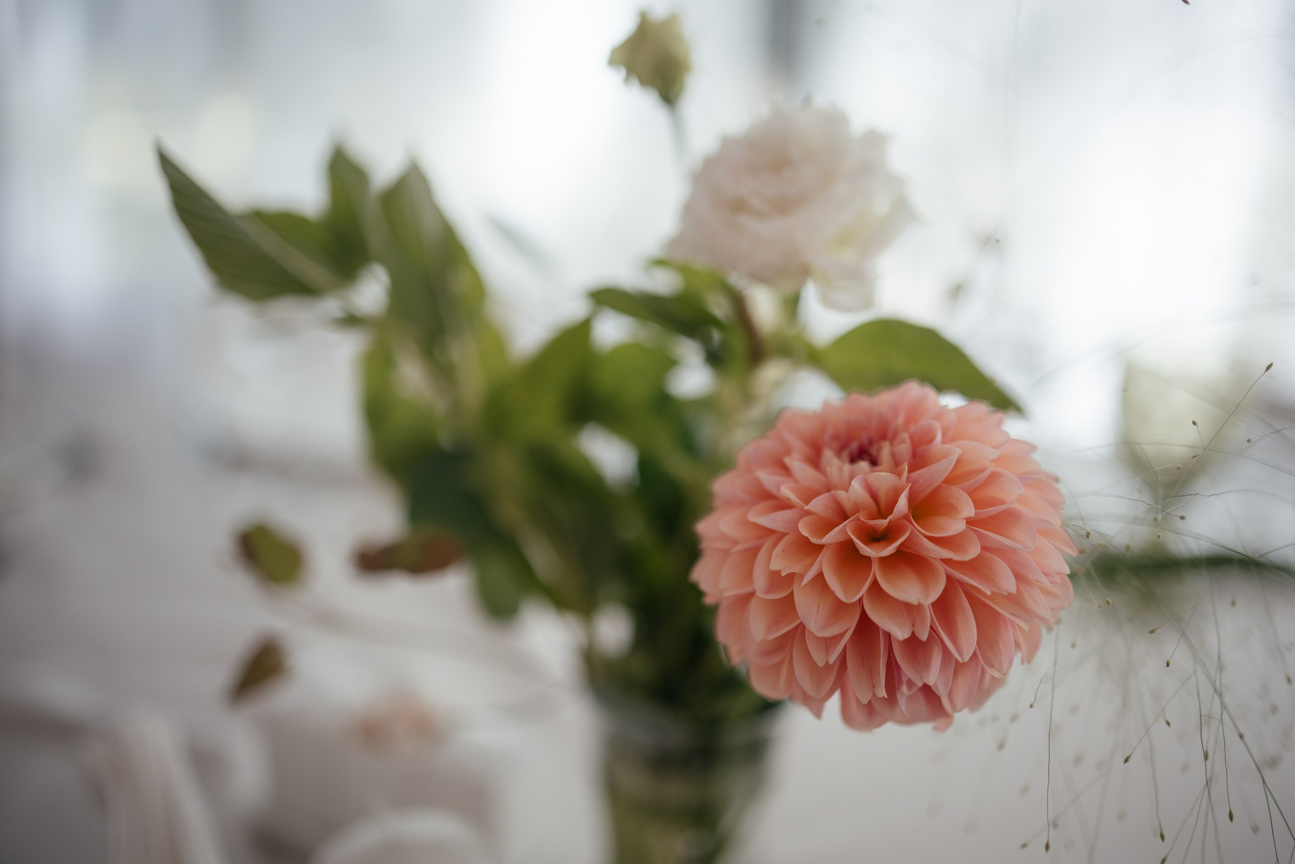 Николай и Алина. Фотограф Крохин Олег