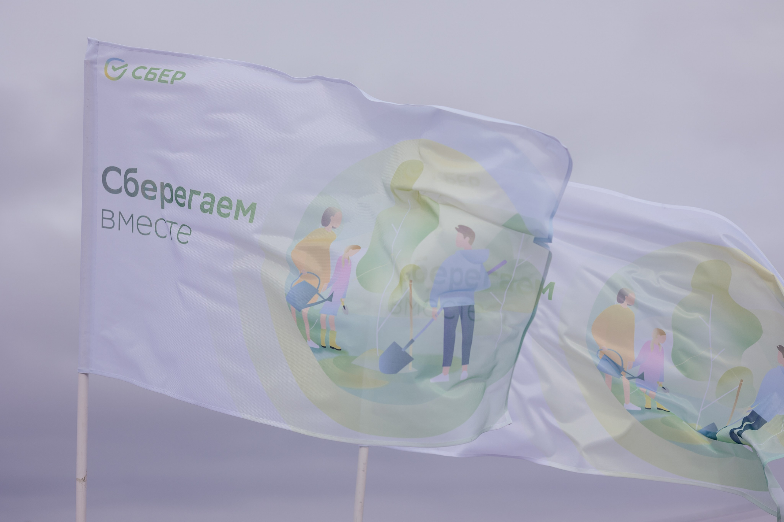 Сохраним лес. Фотограф Крохин Олег