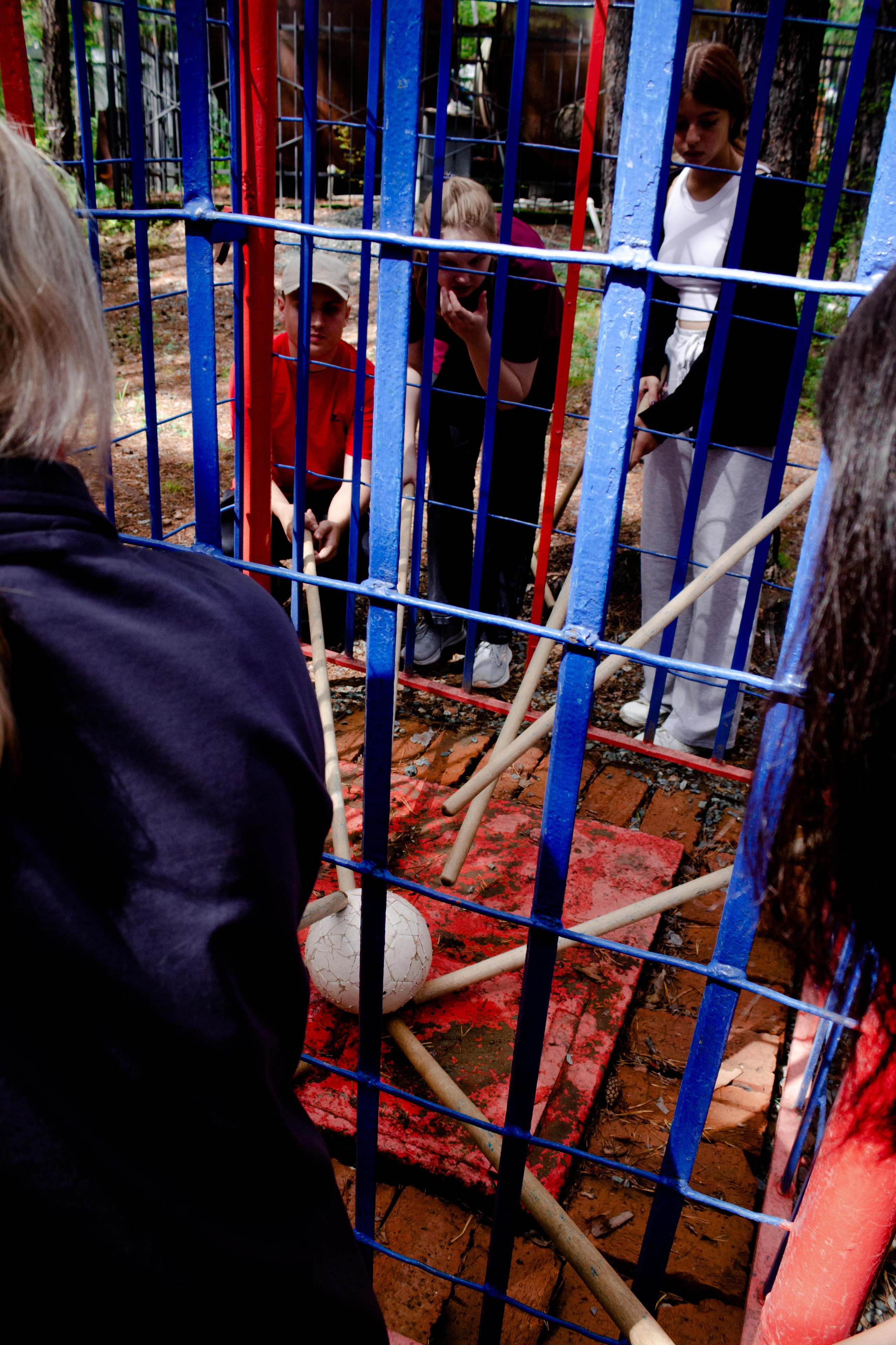 Хамелеон| Верёвочный парк 12.08.23. Алексей Островский — Фотограф г. Чита