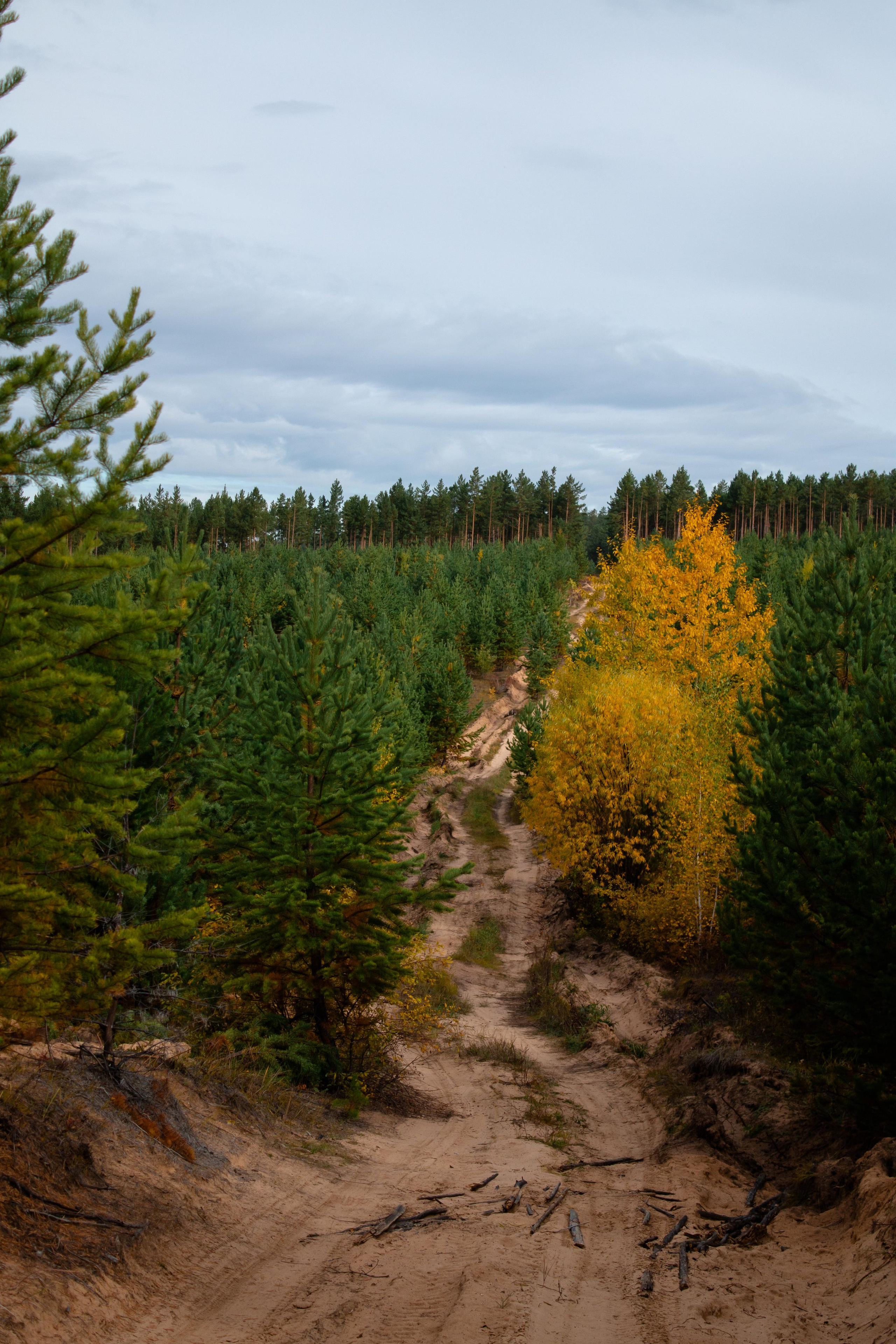 Арача 17.09.23. Алексей Островский — Фотограф г. Чита