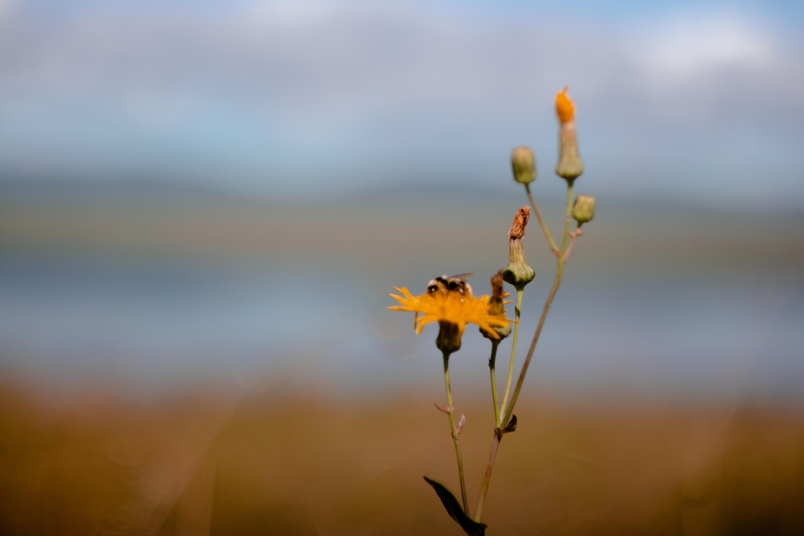 О. Арей 13.08.23. Алексей Островский — Фотограф г. Чита