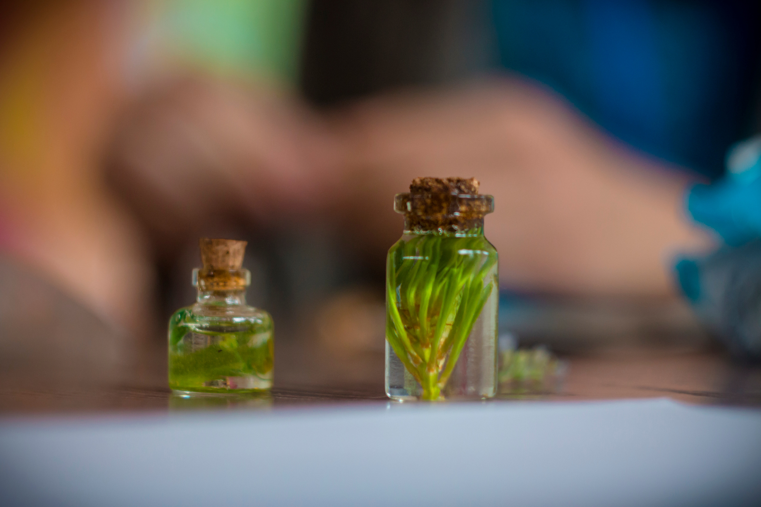 Ньюландия|2023. Алексей Островский — Фотограф г. Чита