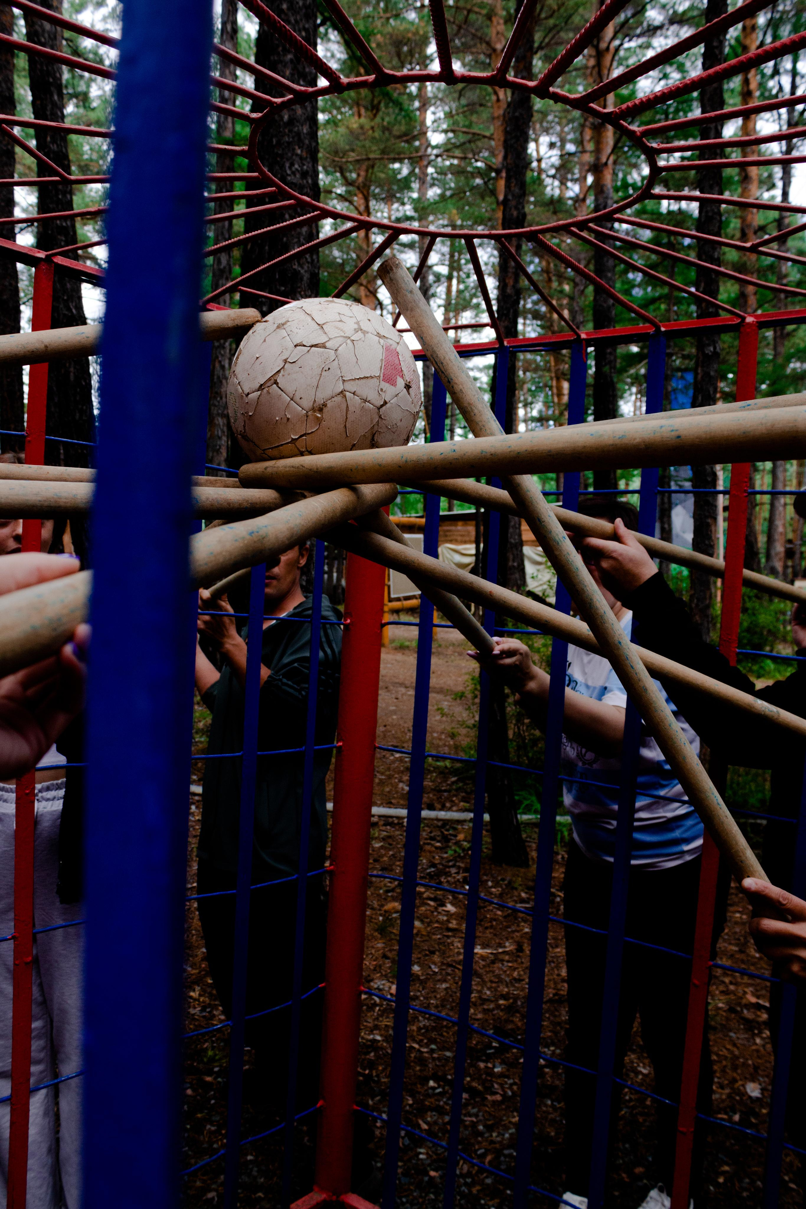 Хамелеон| Верёвочный парк 12.08.23. Алексей Островский — Фотограф г. Чита
