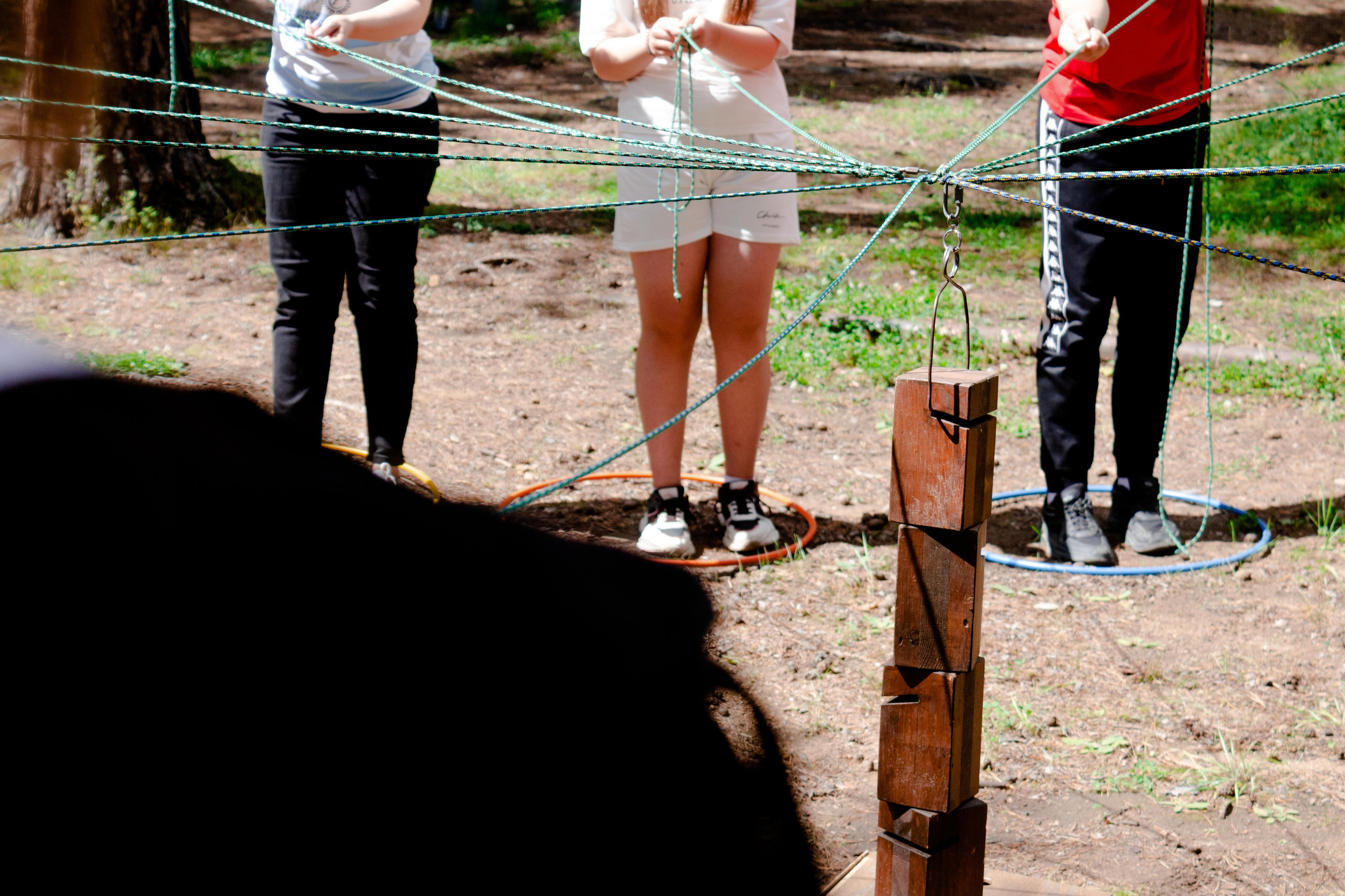 Хамелеон| Верёвочный парк 12.08.23. Алексей Островский — Фотограф г. Чита