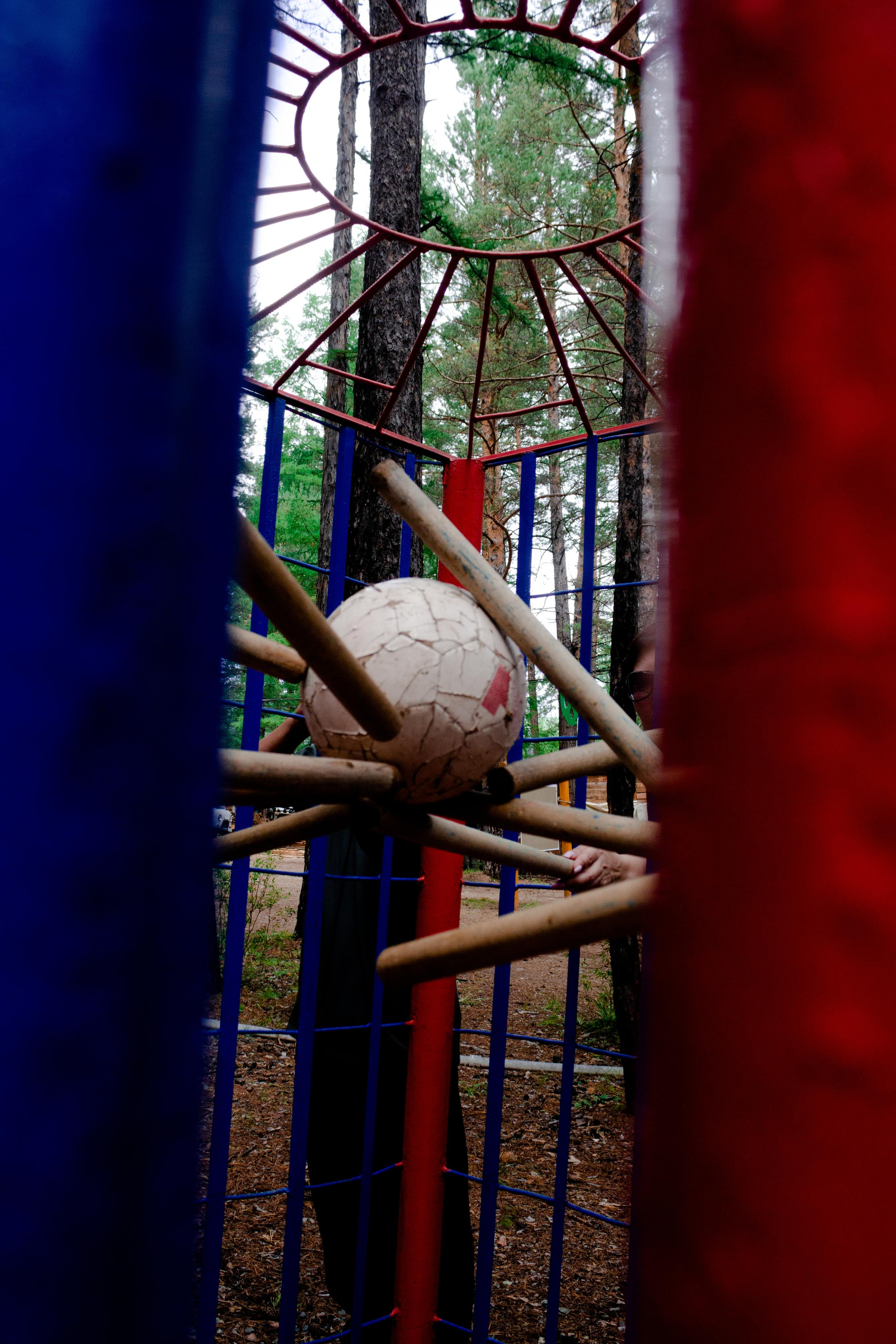 Хамелеон| Верёвочный парк 12.08.23. Алексей Островский — Фотограф г. Чита