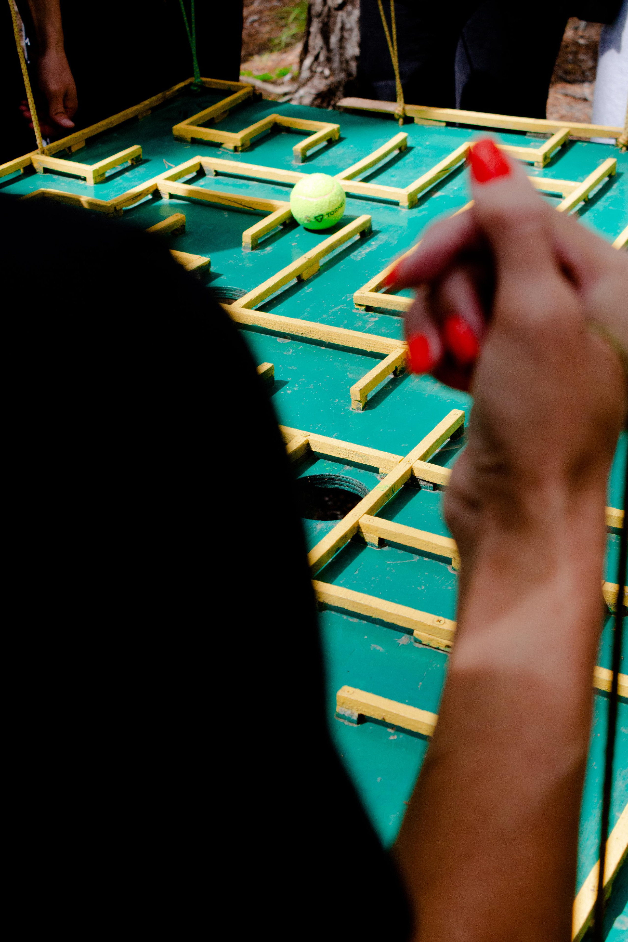 Хамелеон| Верёвочный парк 12.08.23. Алексей Островский — Фотограф г. Чита