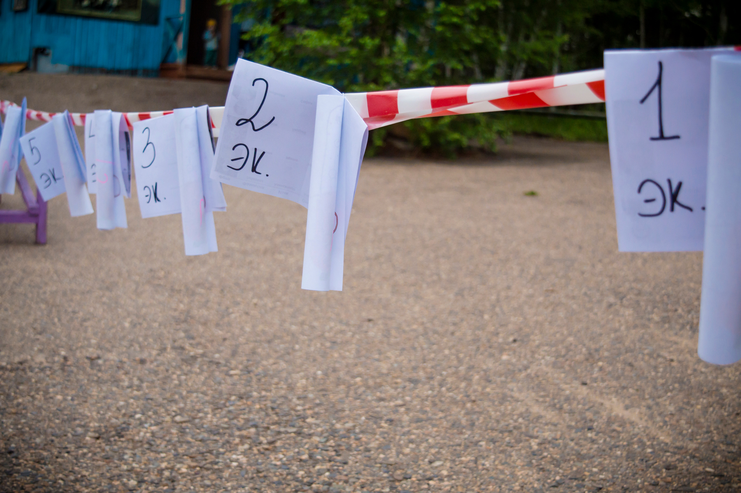 Ньюландия|2023. Алексей Островский — Фотограф г. Чита