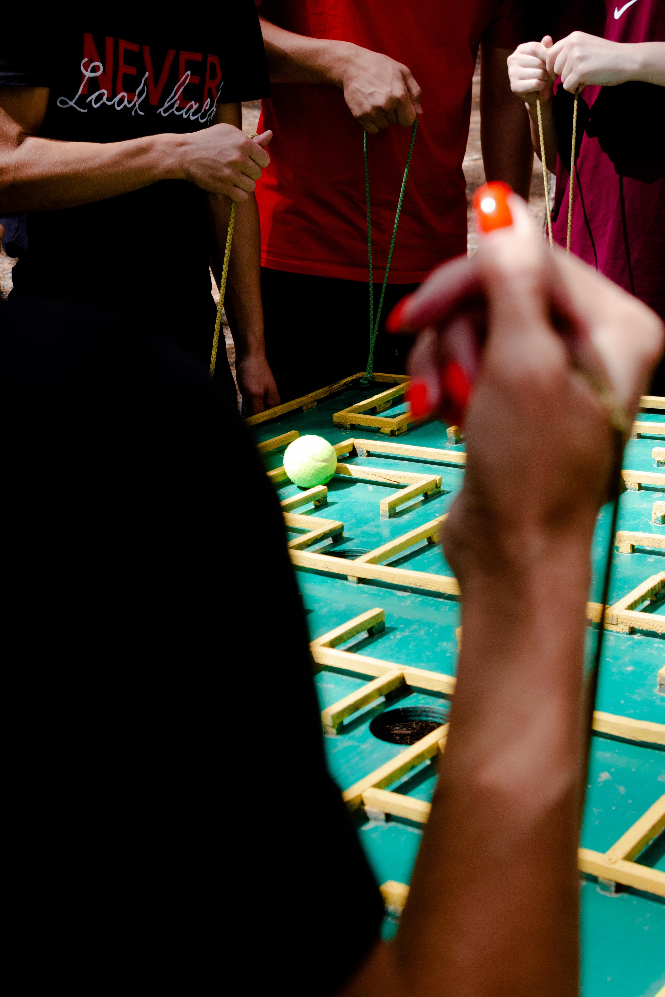 Хамелеон| Верёвочный парк 12.08.23. Алексей Островский — Фотограф г. Чита