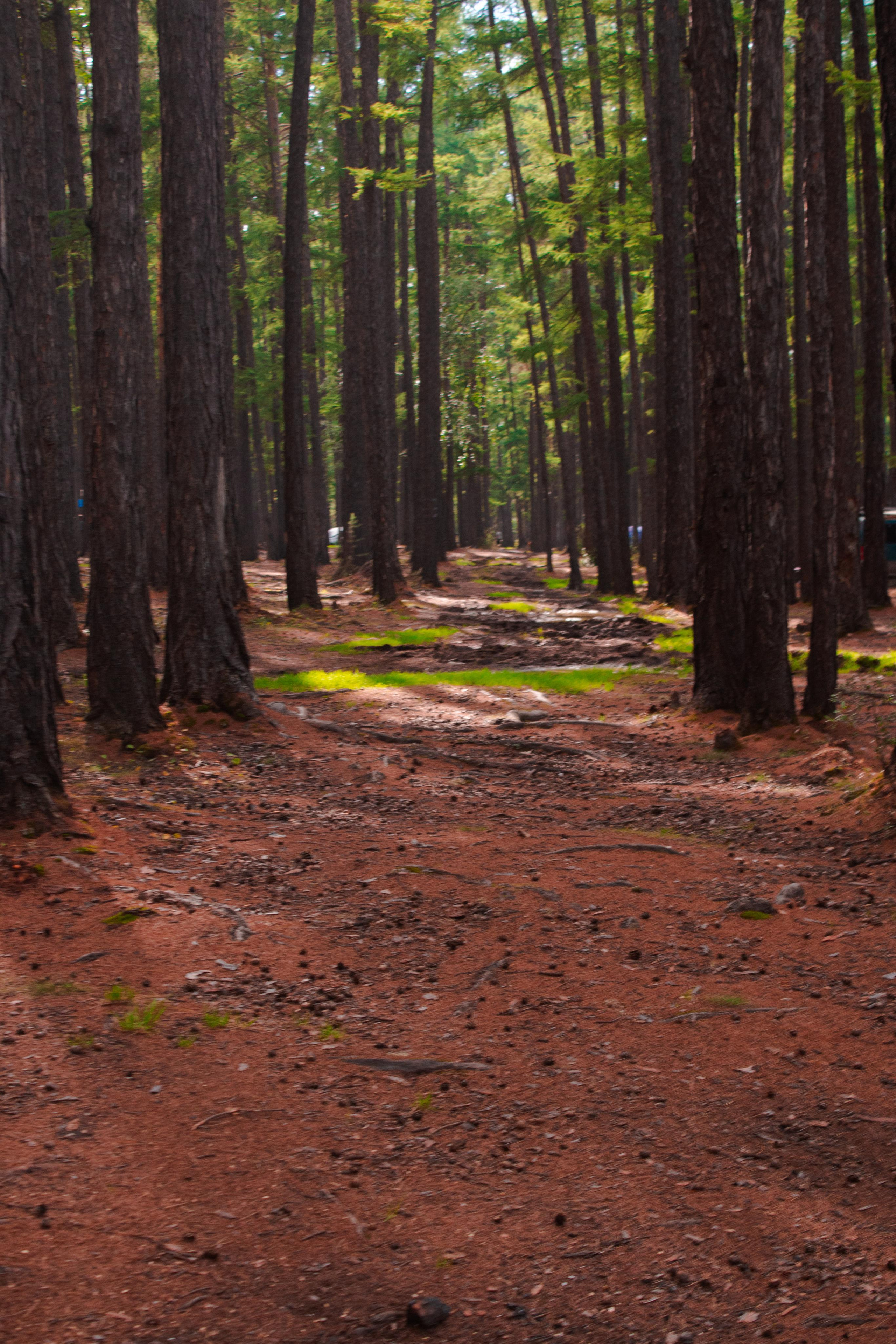 О. Арей 13.08.23. Алексей Островский — Фотограф г. Чита