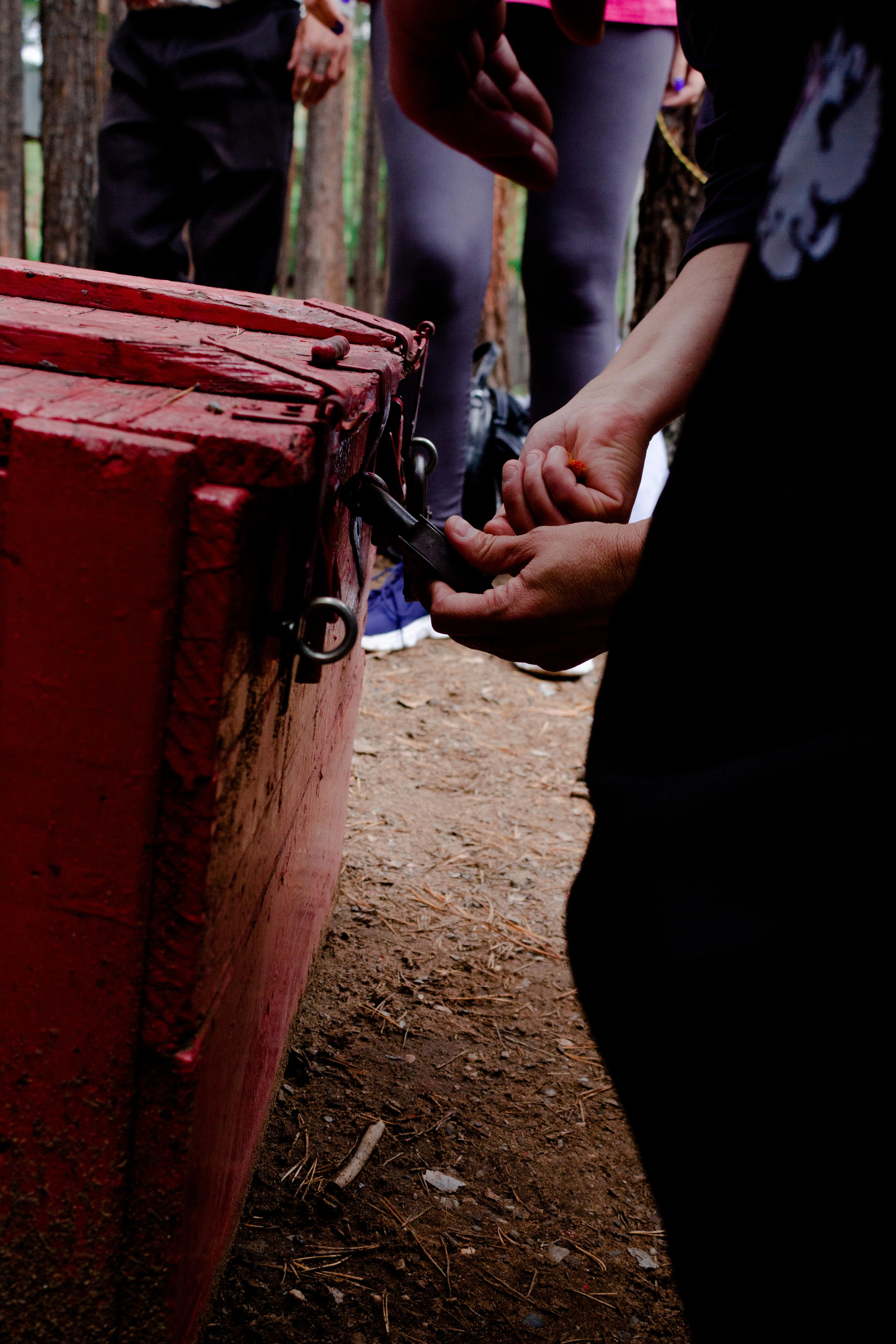 Хамелеон| Верёвочный парк 12.08.23. Алексей Островский — Фотограф г. Чита