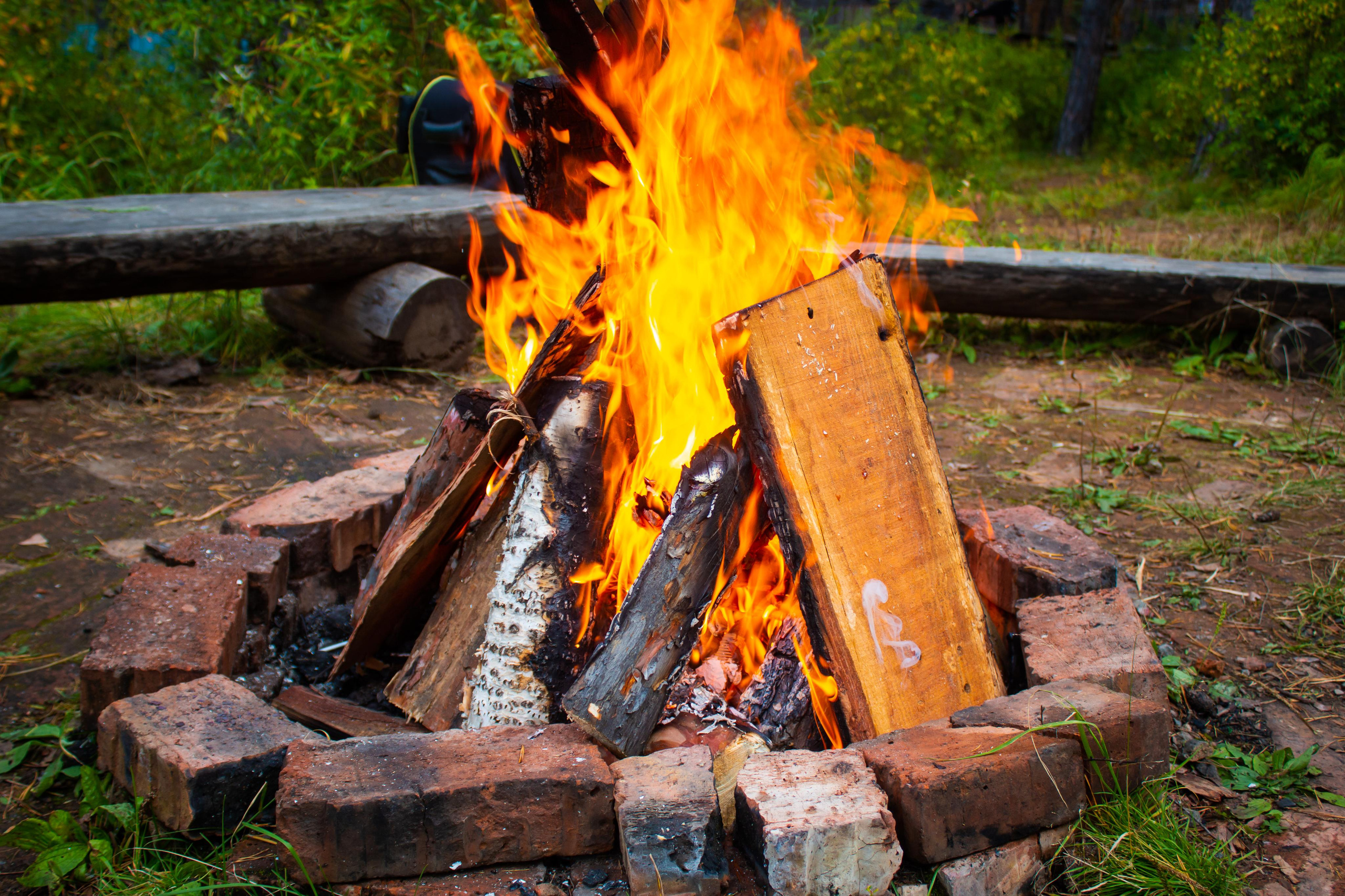 День рождения парка|10.09.23. Алексей Островский — Фотограф г. Чита
