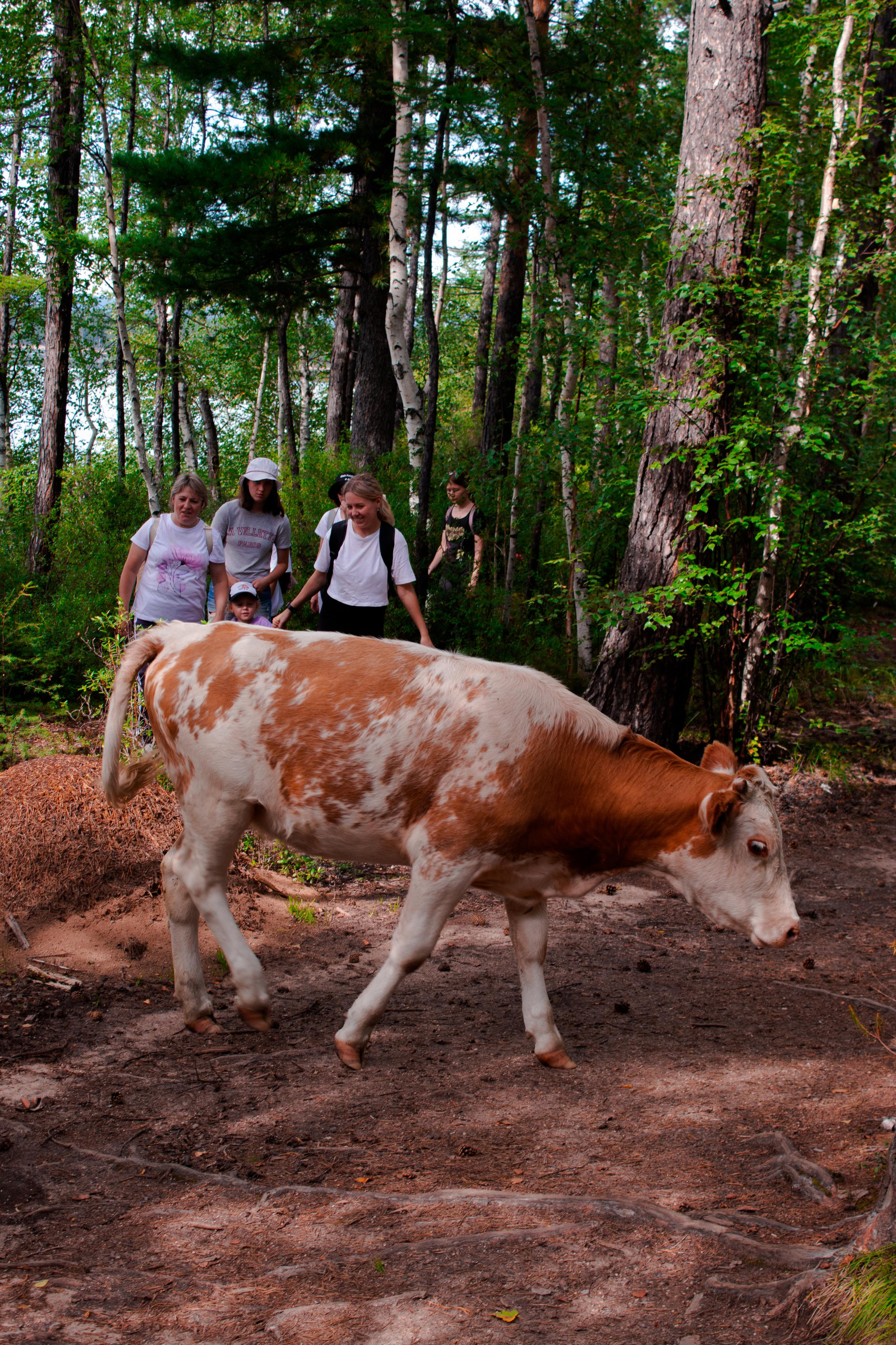 О. Арей 13.08.23. Алексей Островский — Фотограф г. Чита