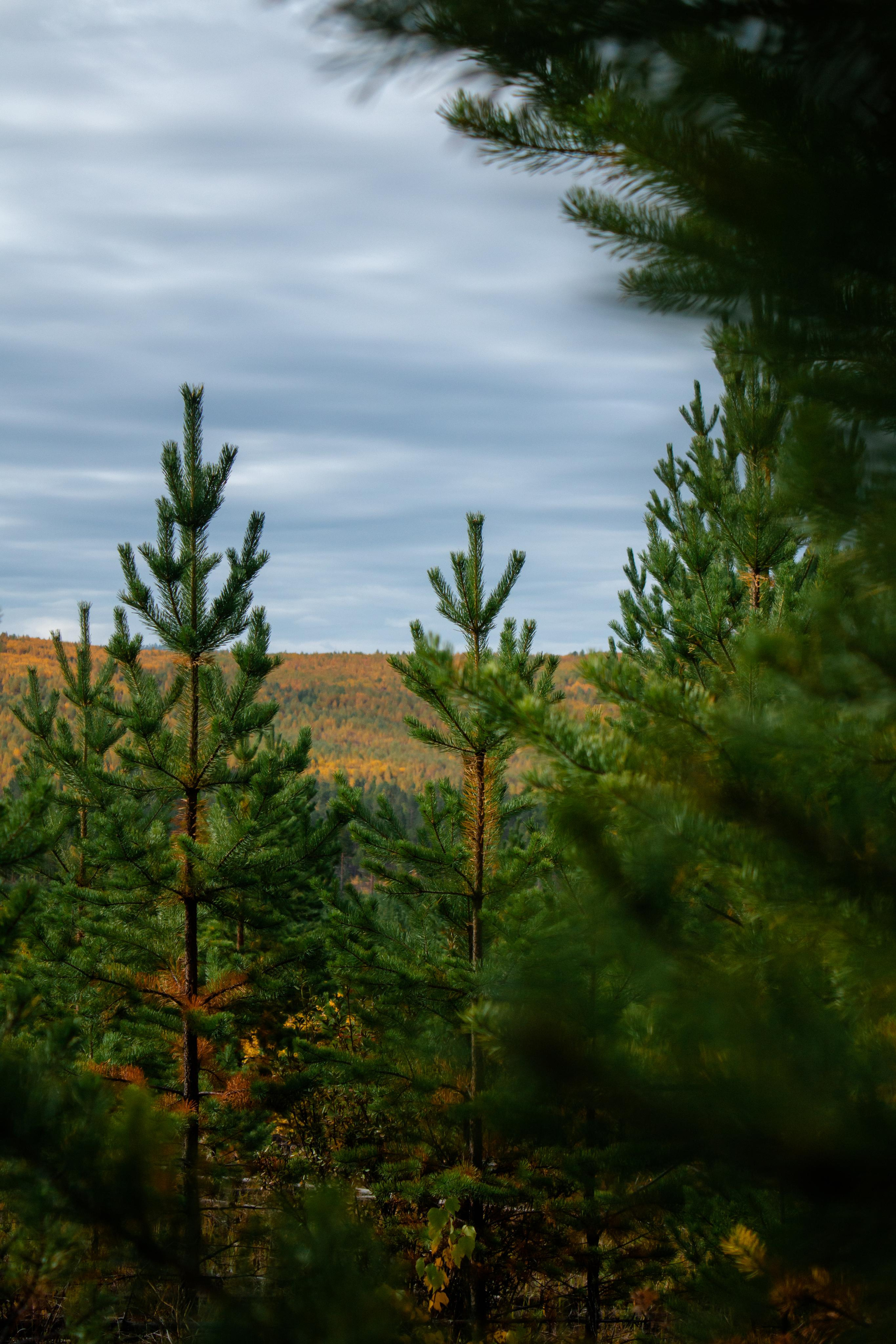 Арача 17.09.23. Алексей Островский — Фотограф г. Чита