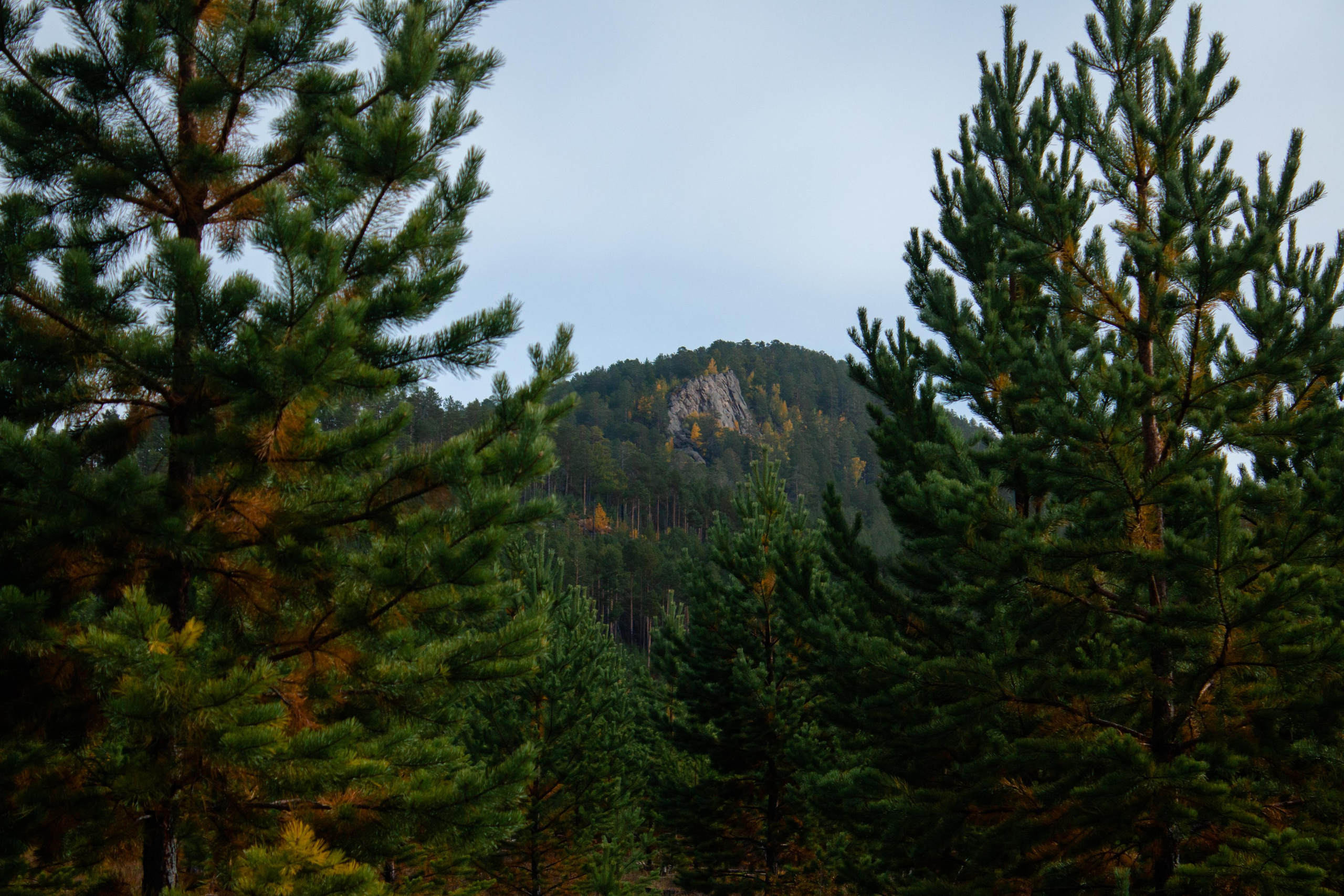 Арача 17.09.23. Алексей Островский — Фотограф г. Чита