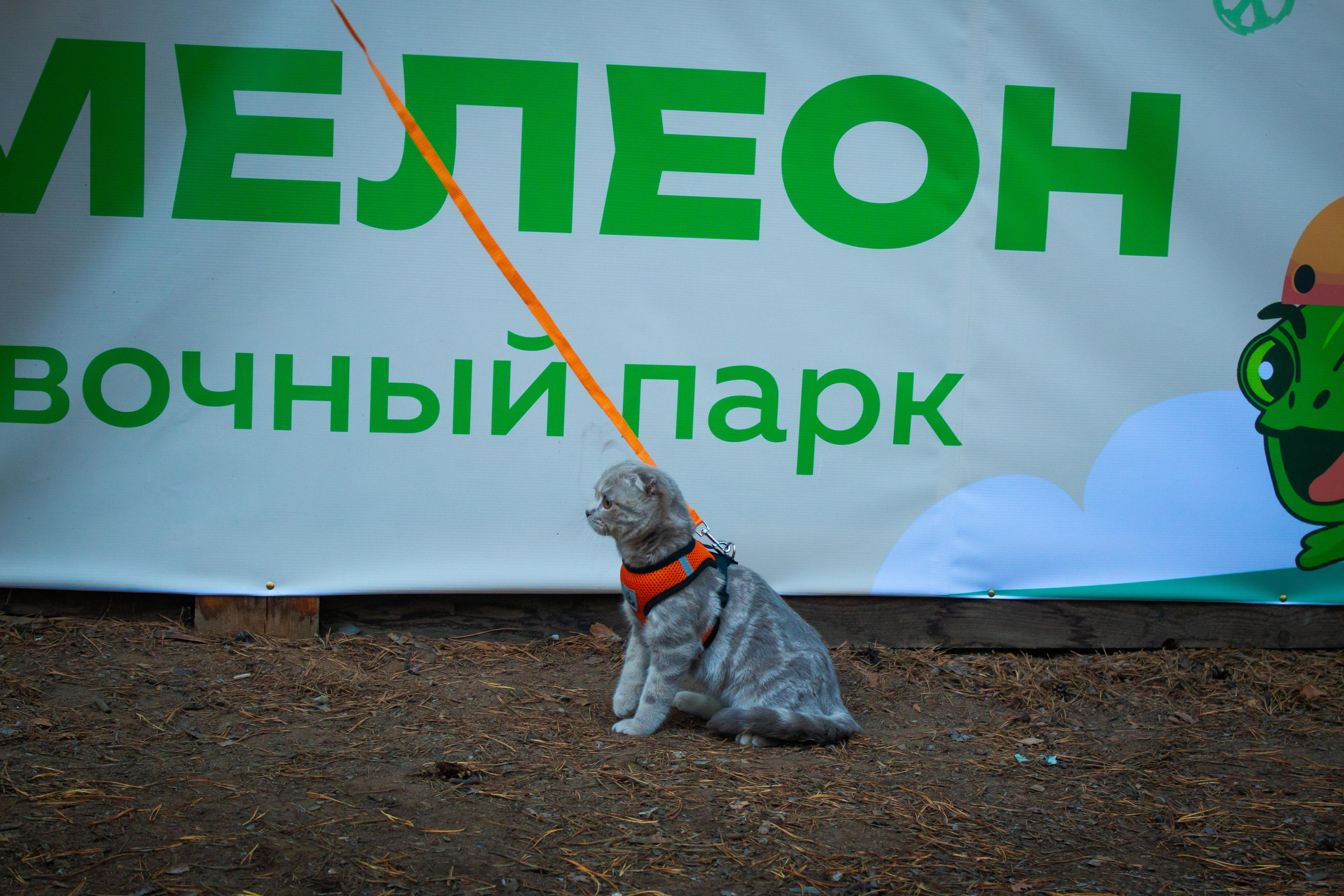 День рождения парка|10.09.23. Алексей Островский — Фотограф г. Чита